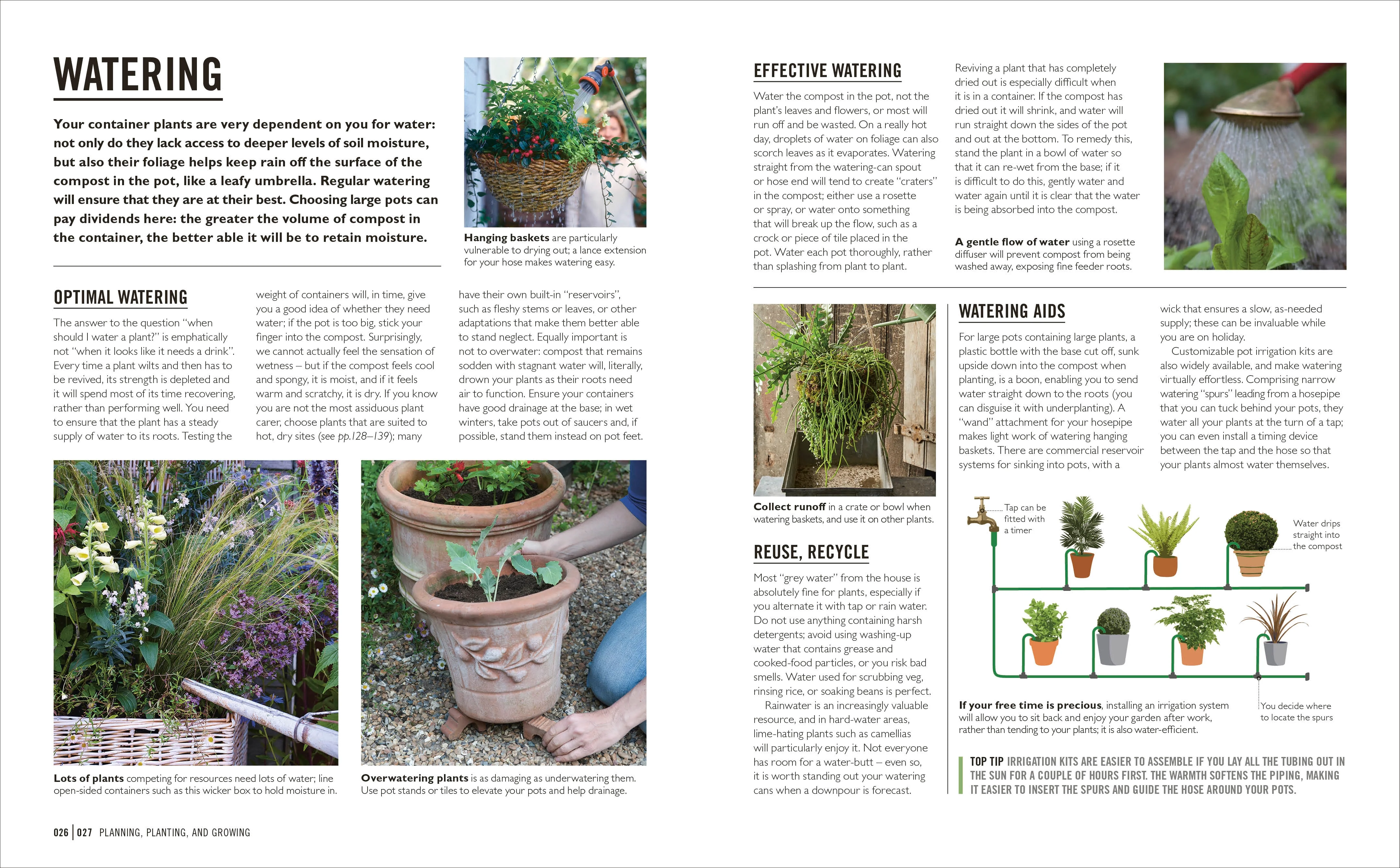 Grow Containers - Image 3