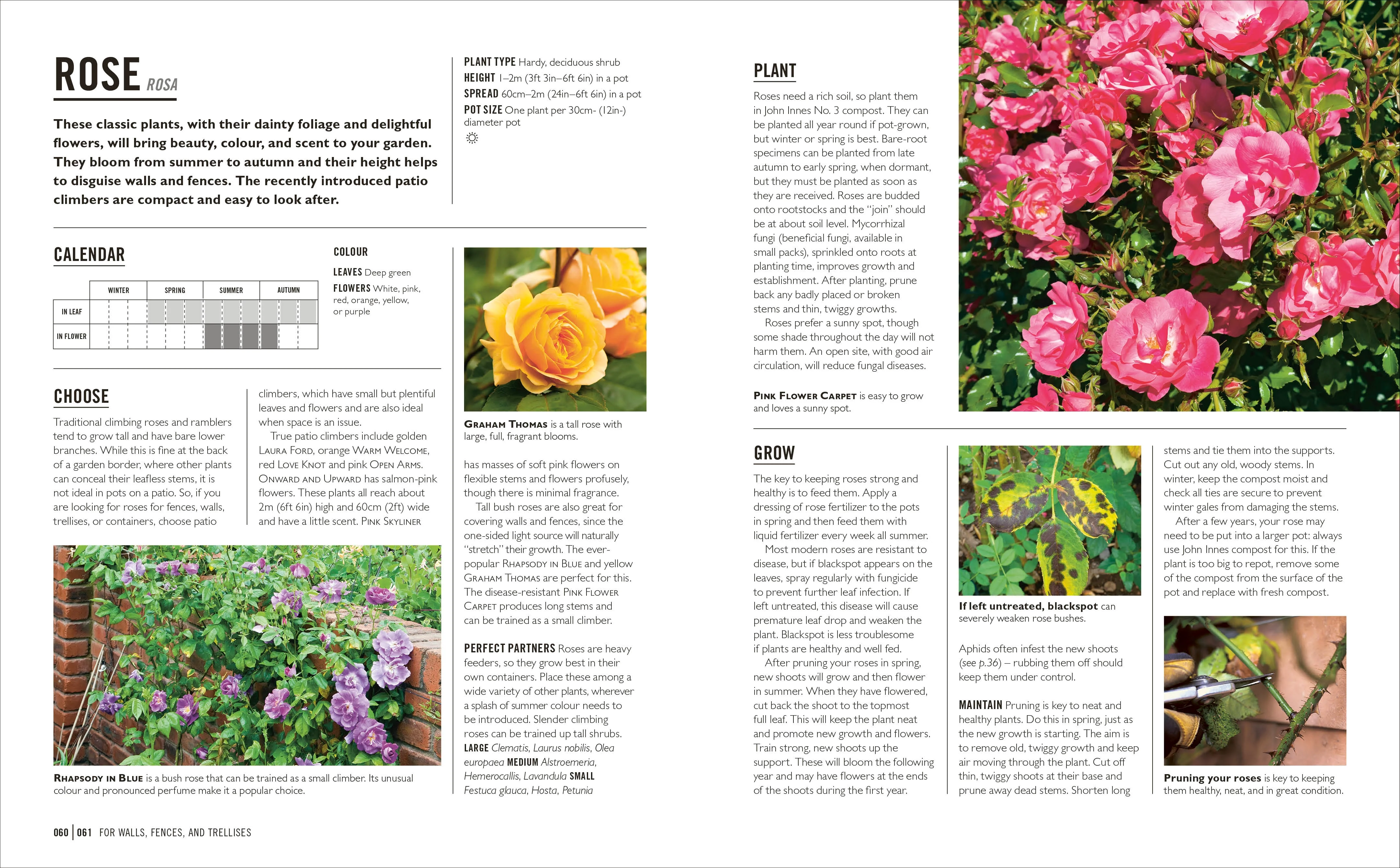 Grow Containers - Image 4