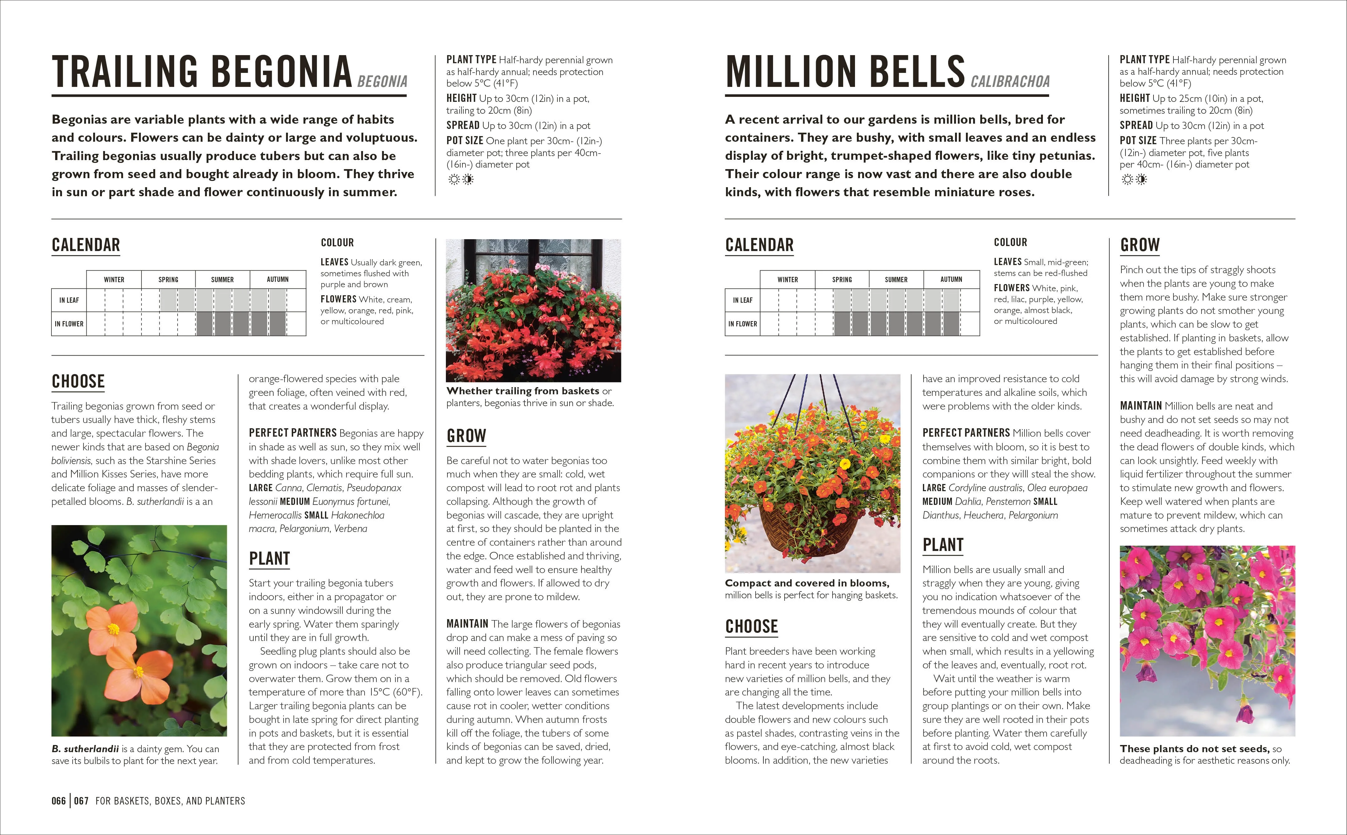 Grow Containers - Image 5
