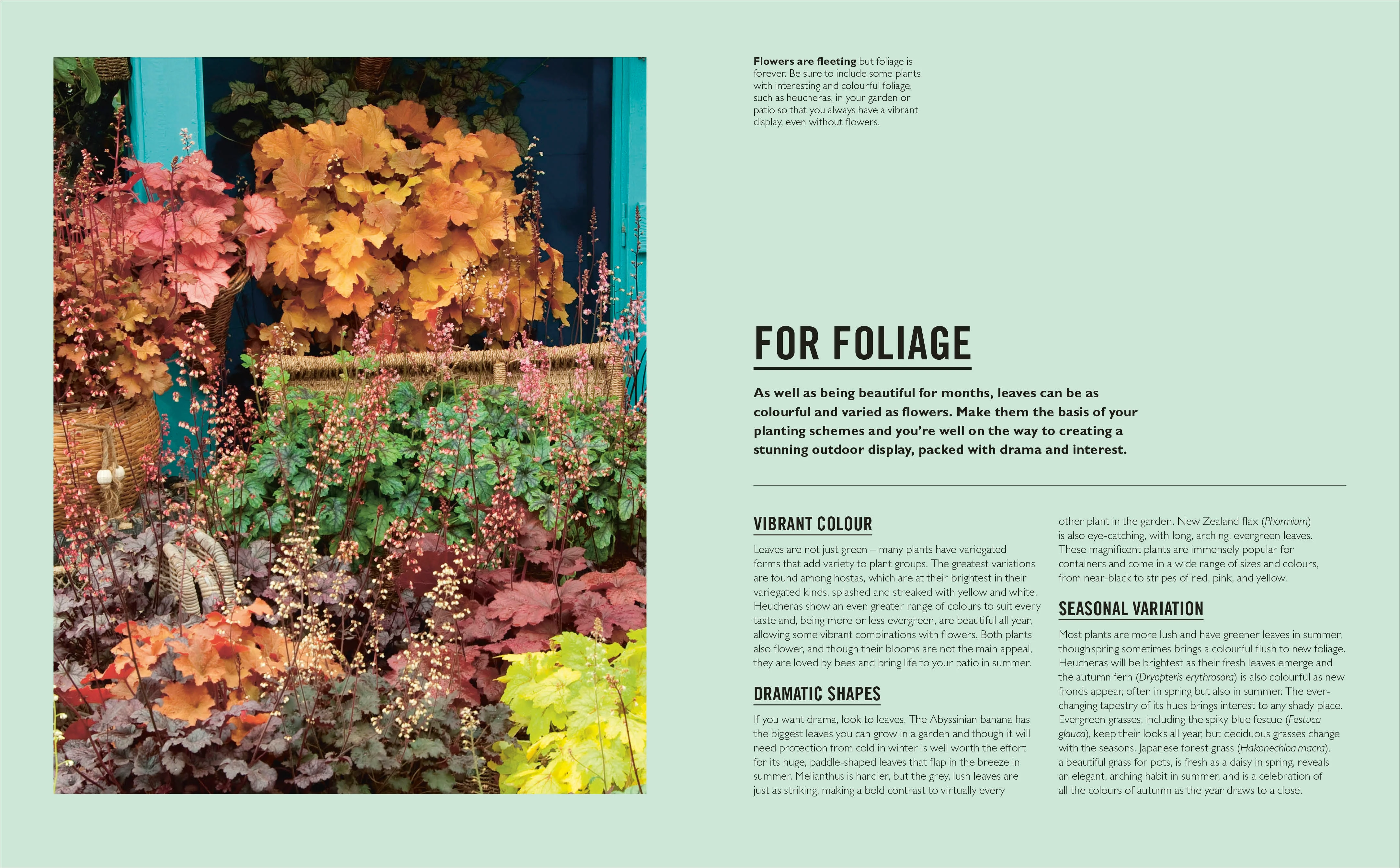 Grow Containers - Image 6