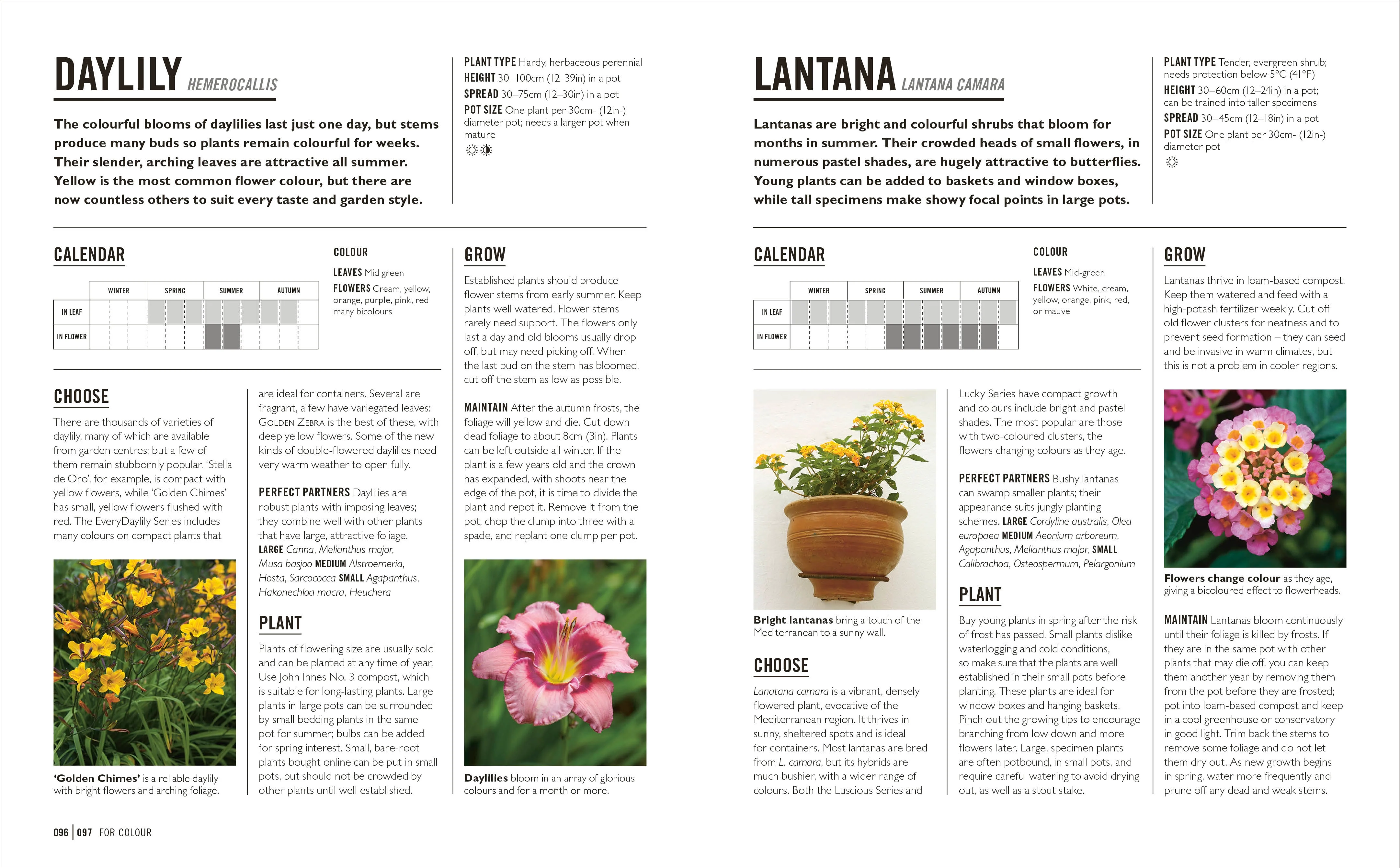 Grow Containers - Image 7