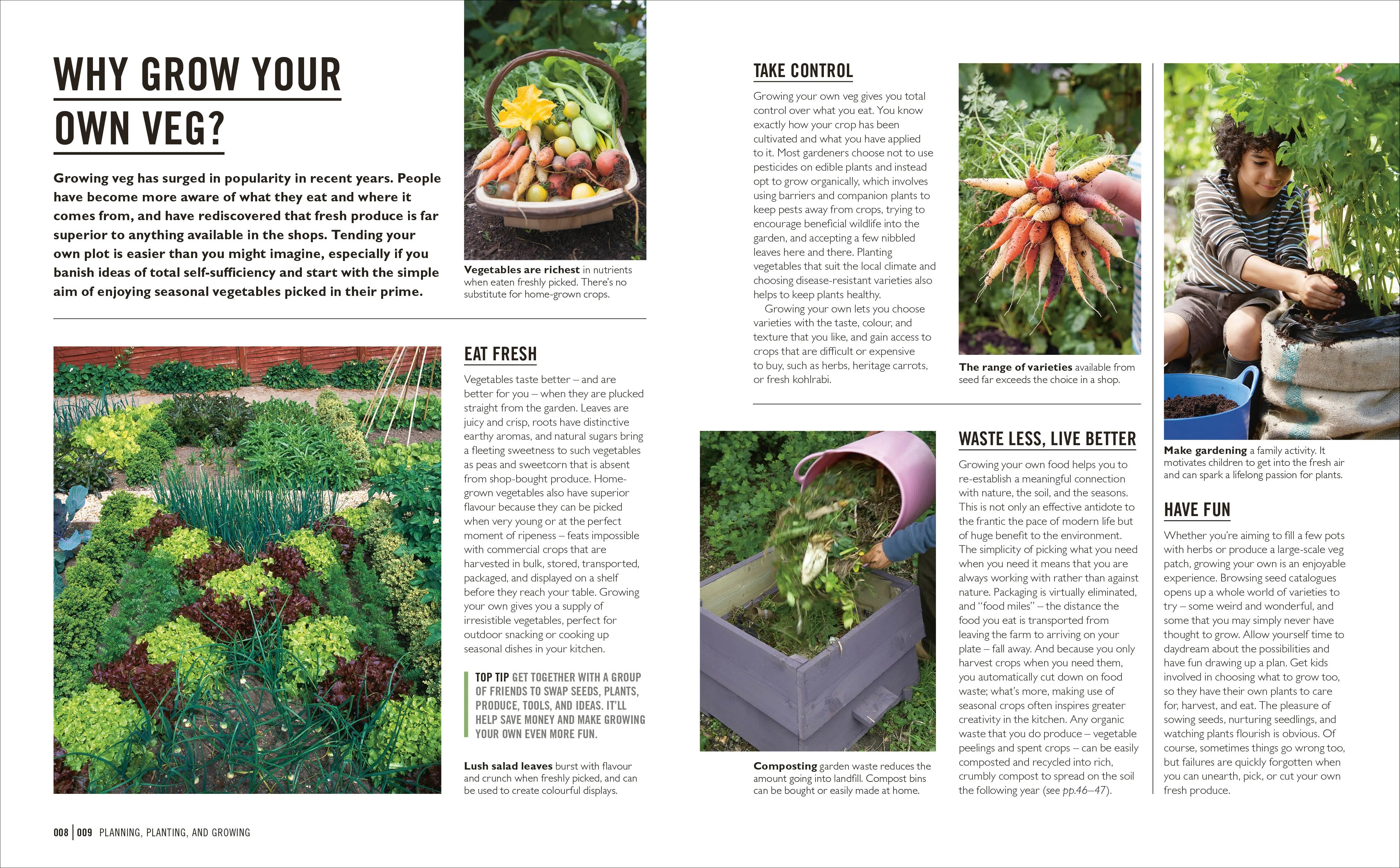 Grow Easy Veg - Image 2
