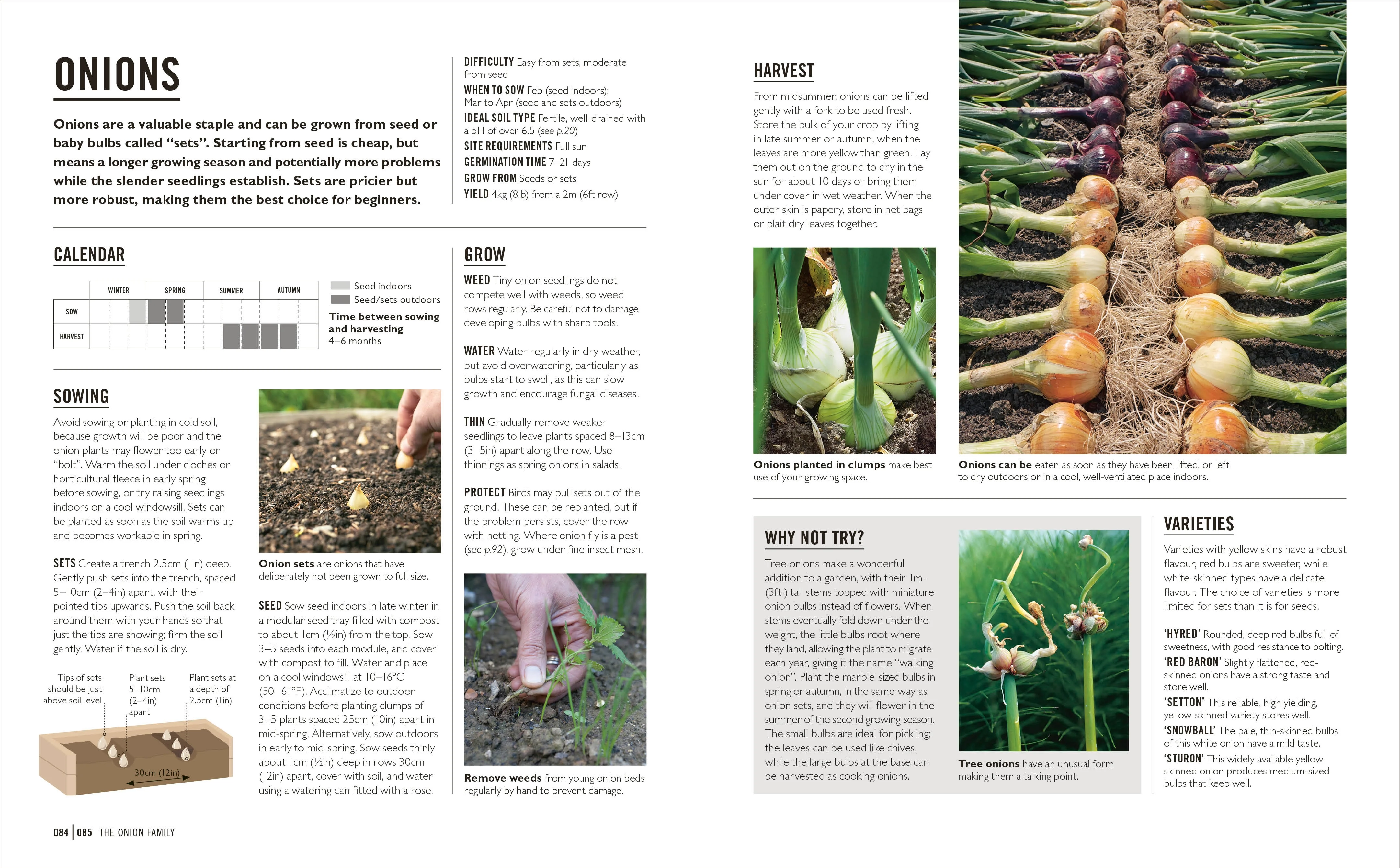 Grow Easy Veg - Image 4