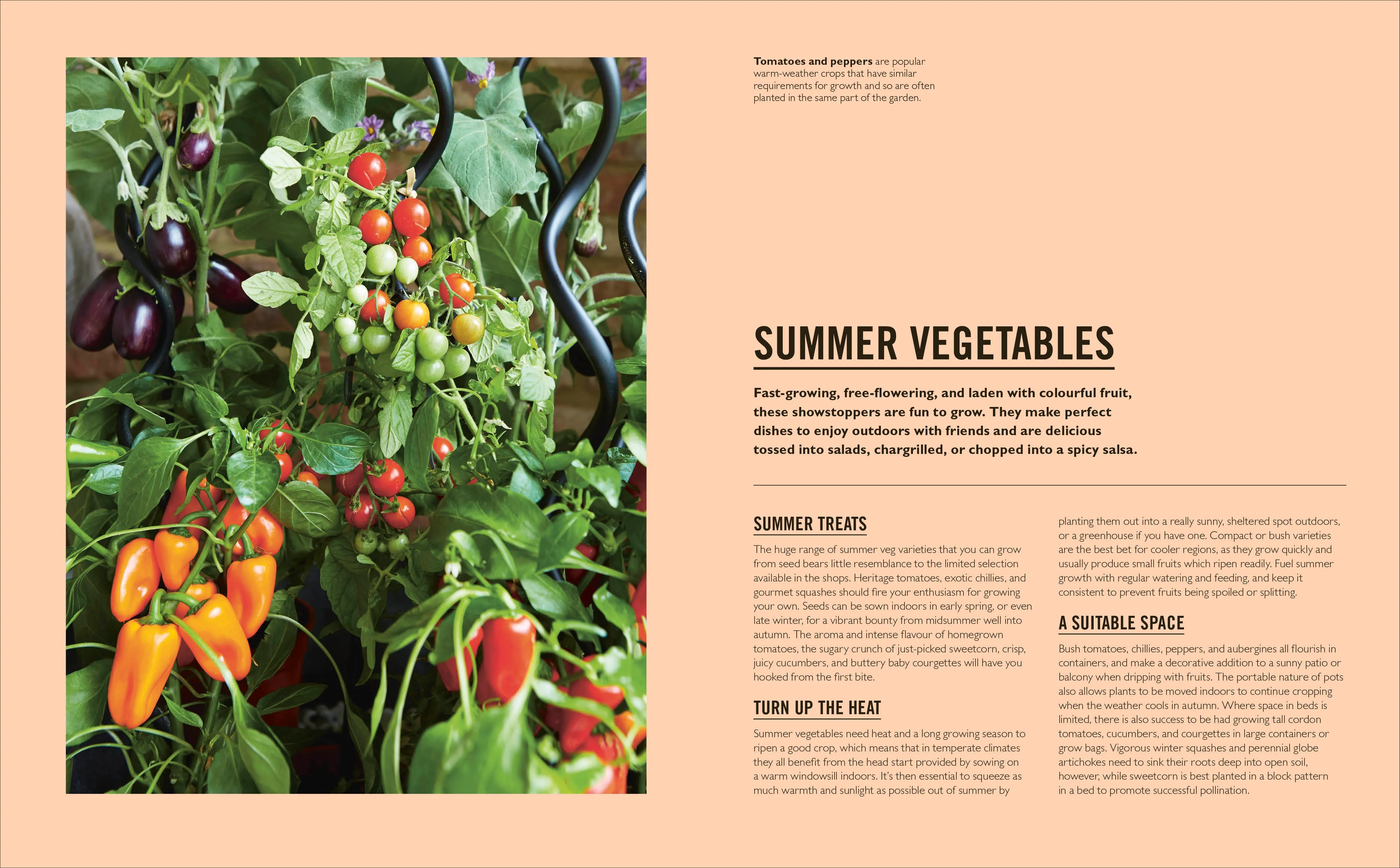 Grow Easy Veg - Image 5