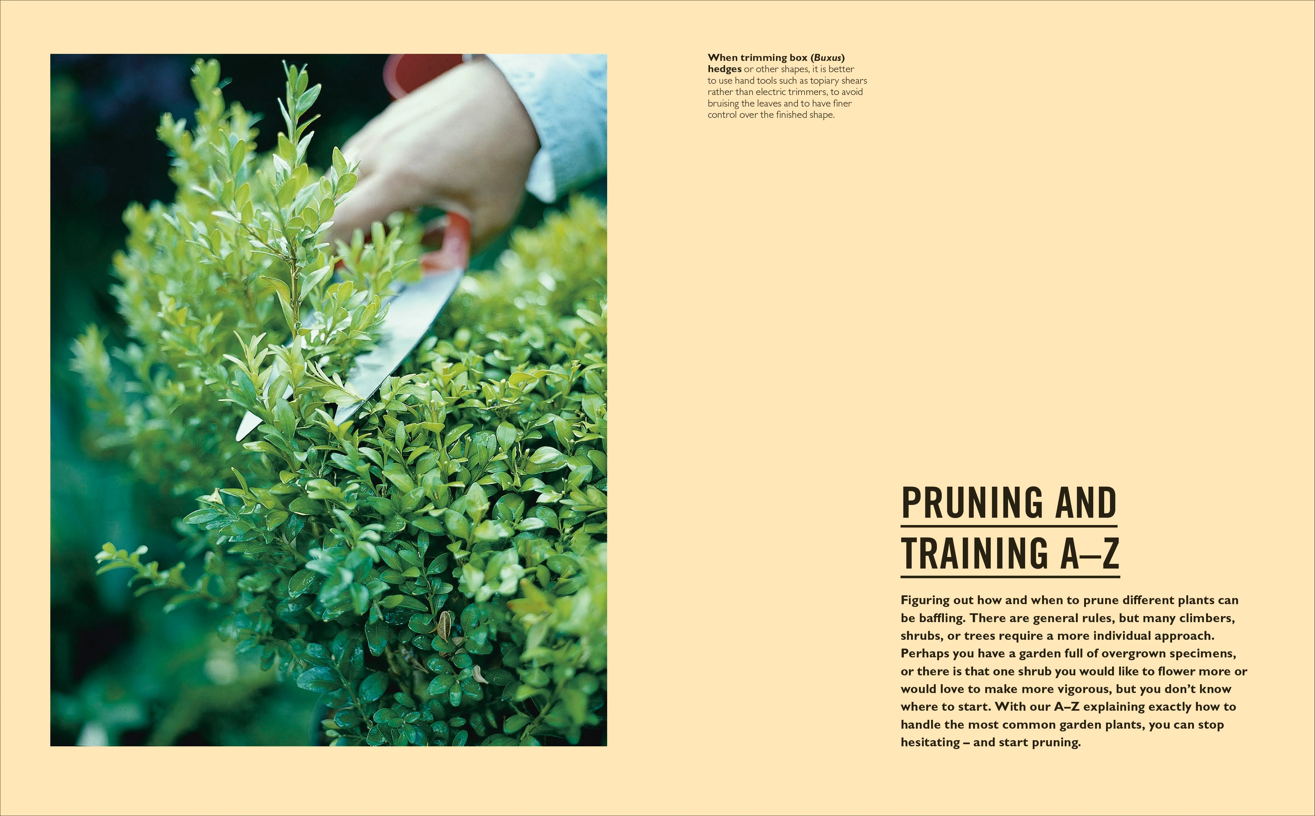 Grow Pruning & Training - Image 4