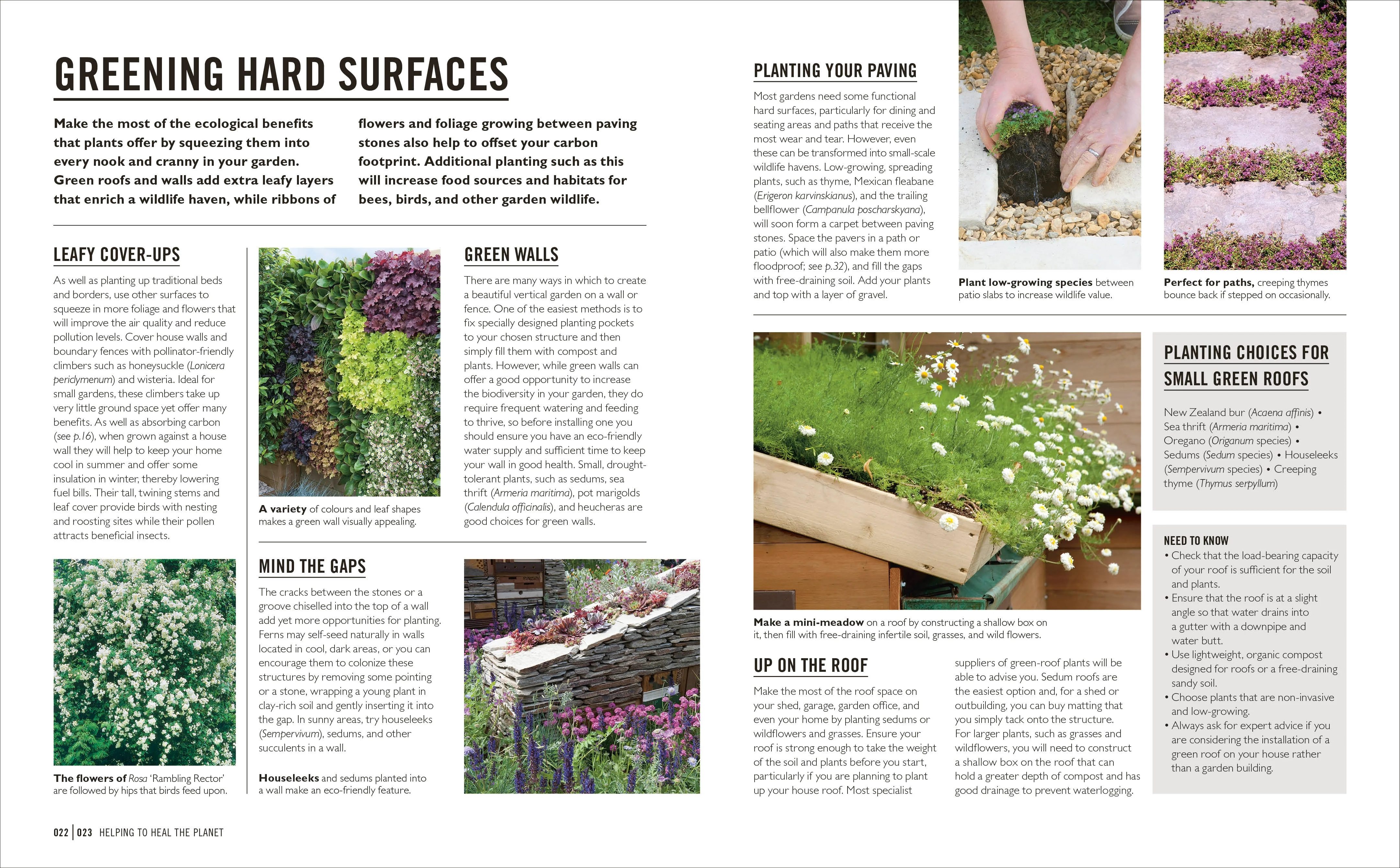 Grow Eco-gardening - Image 2