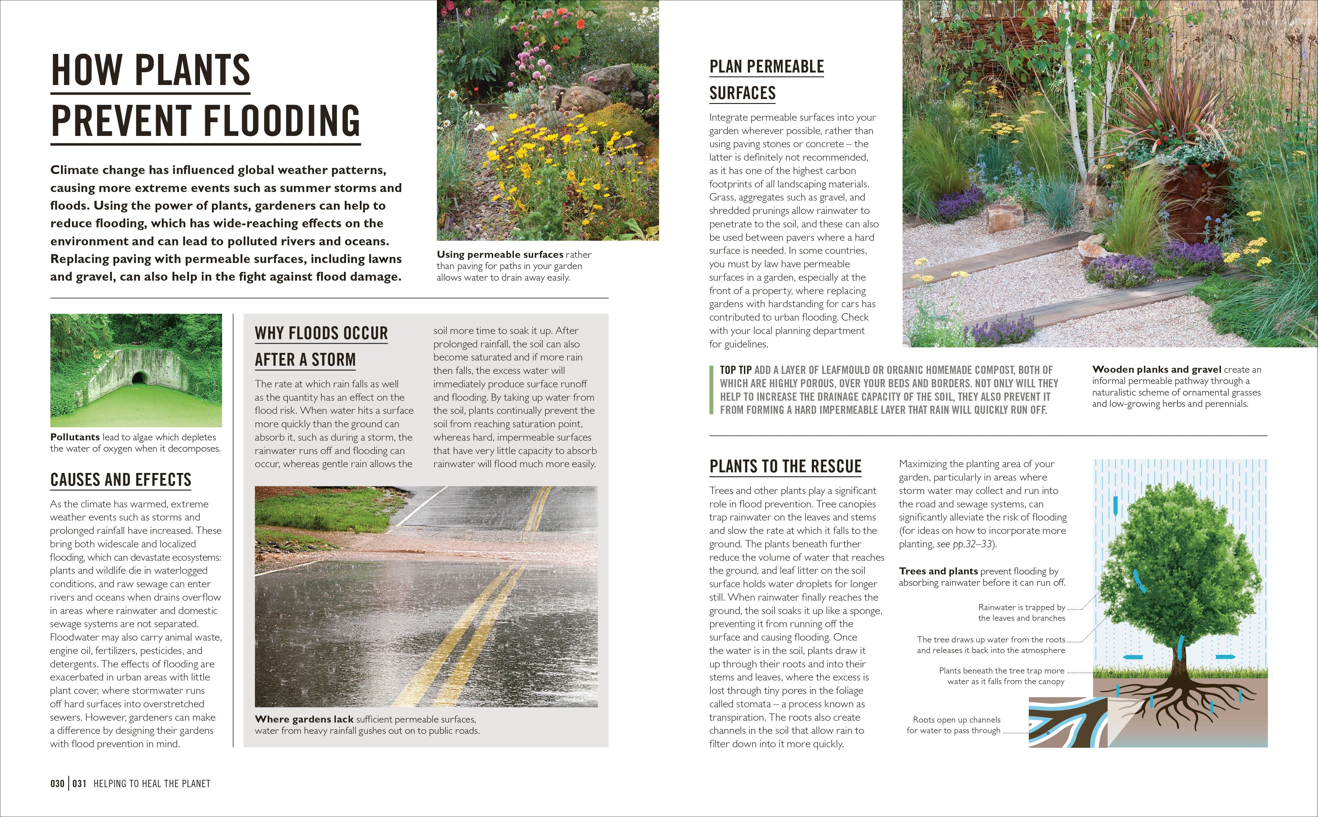 Grow Eco-gardening - Image 3