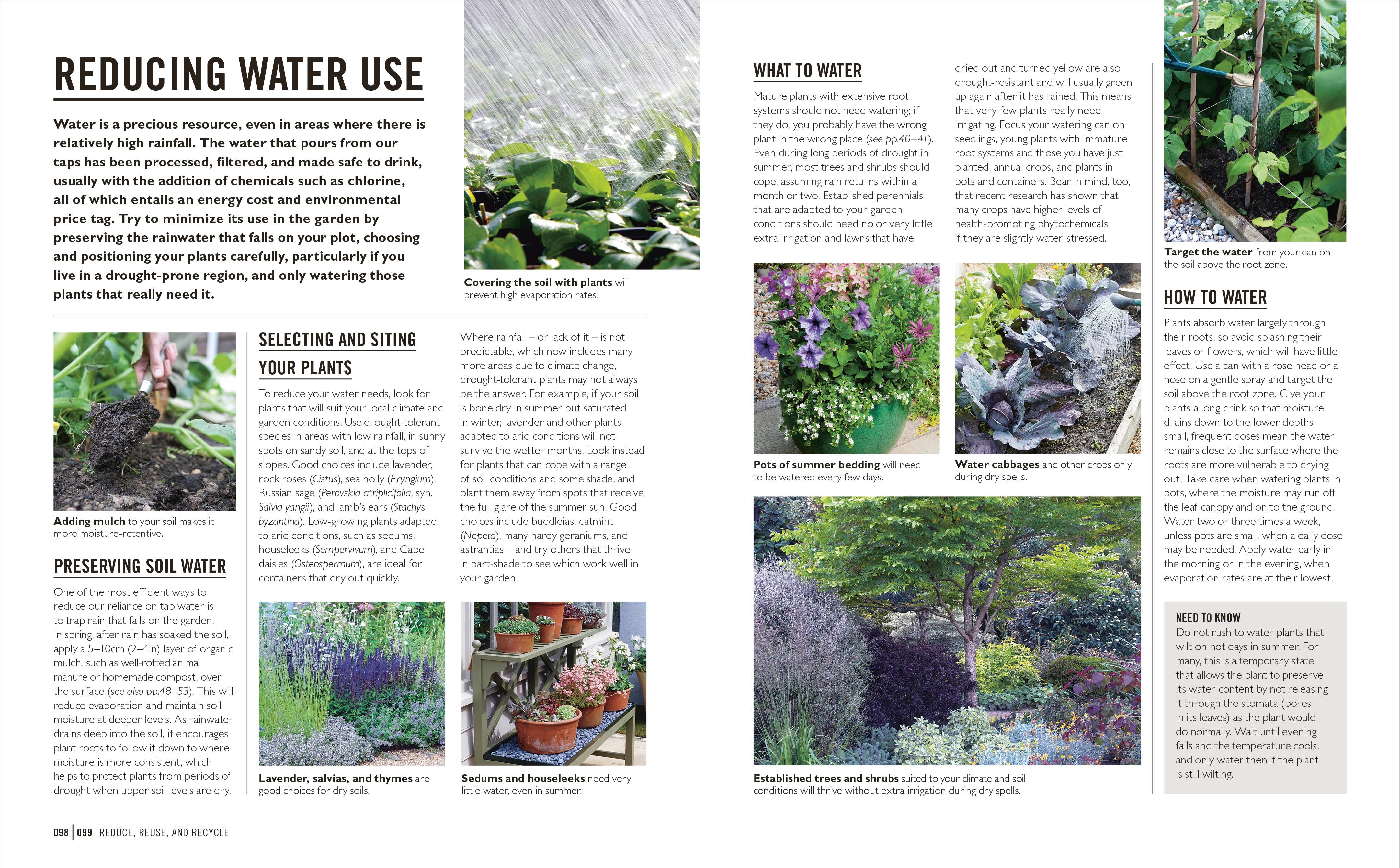 Grow Eco-gardening - Image 5