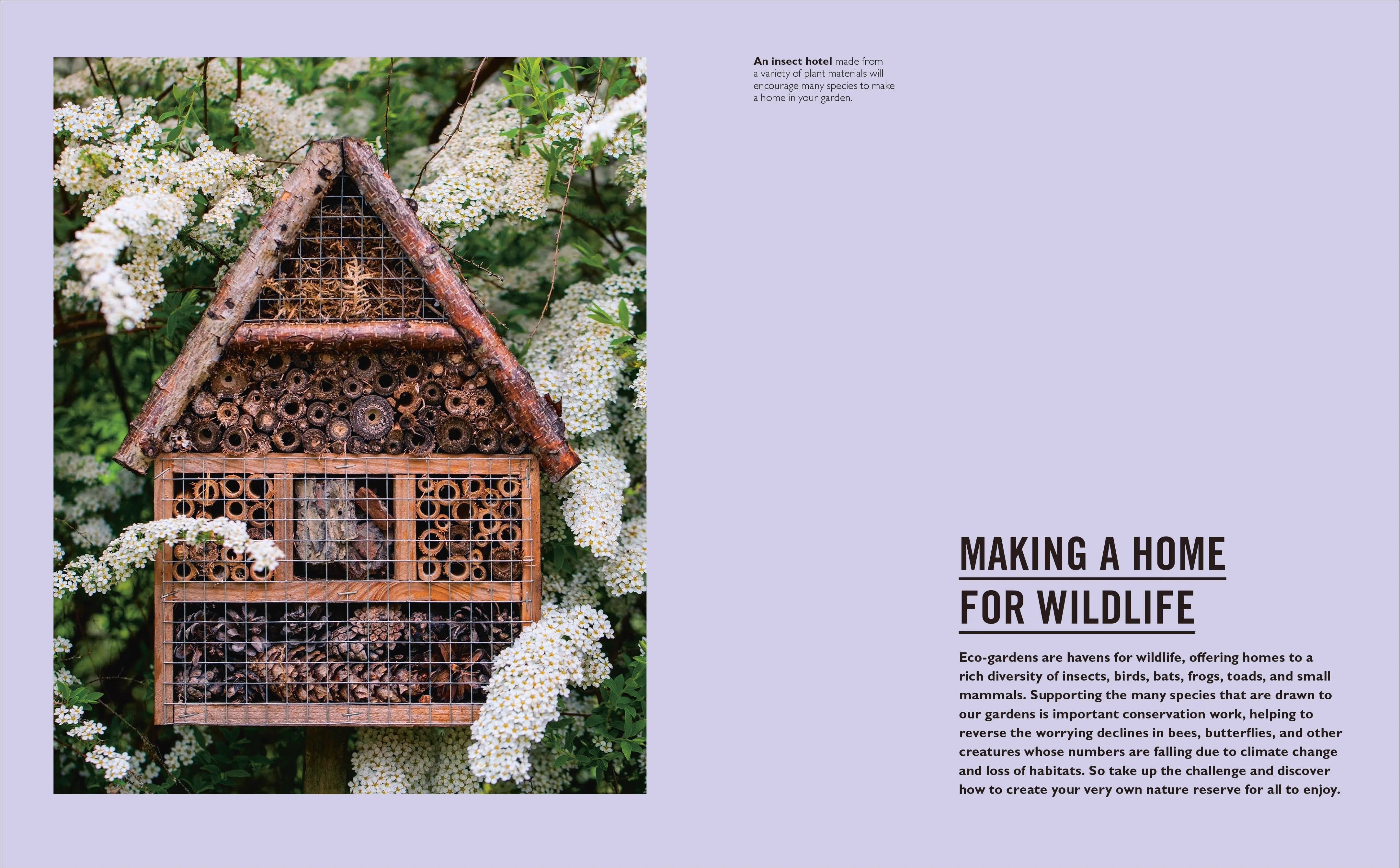Grow Eco-gardening - Image 6