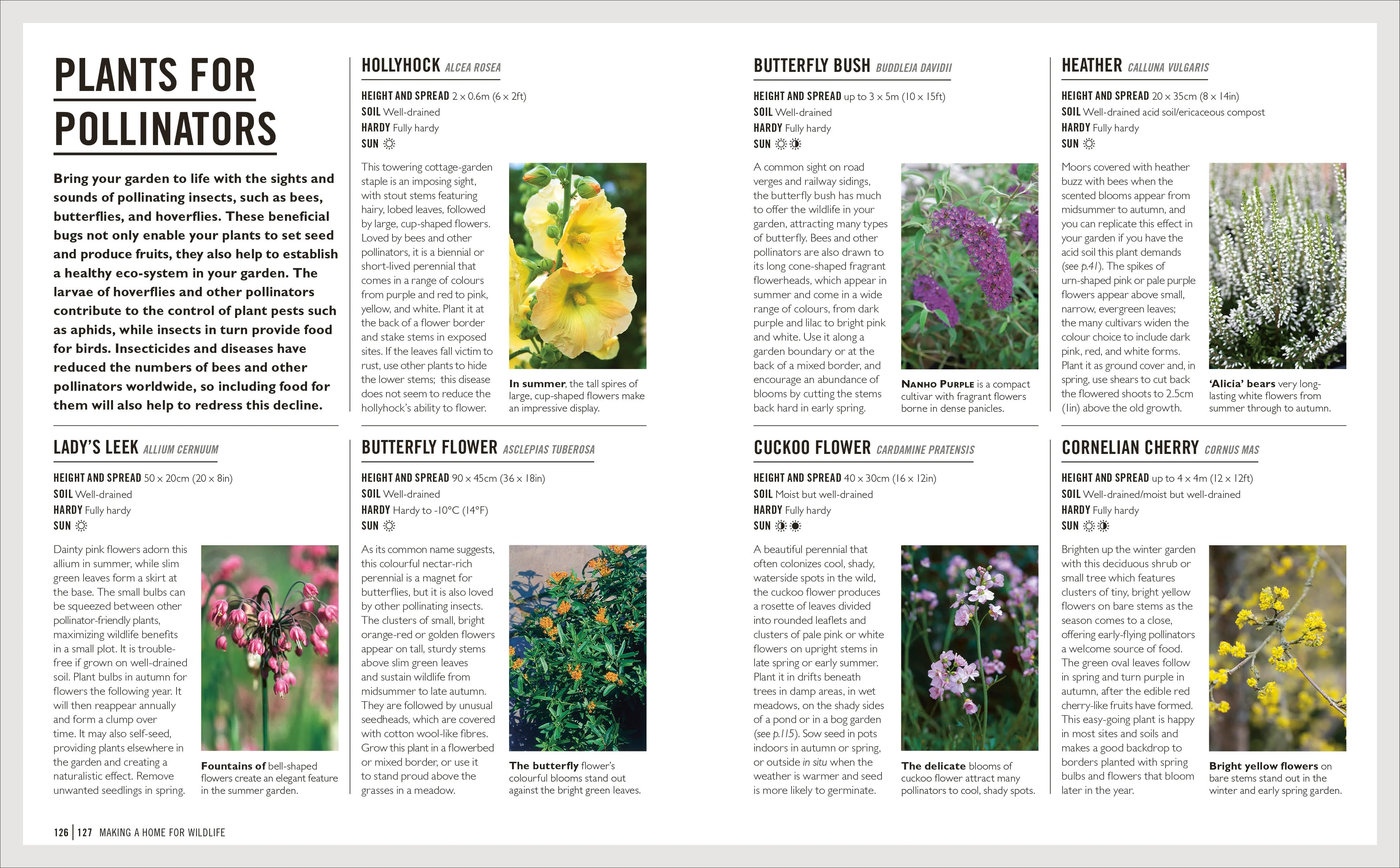 Grow Eco-gardening - Image 7