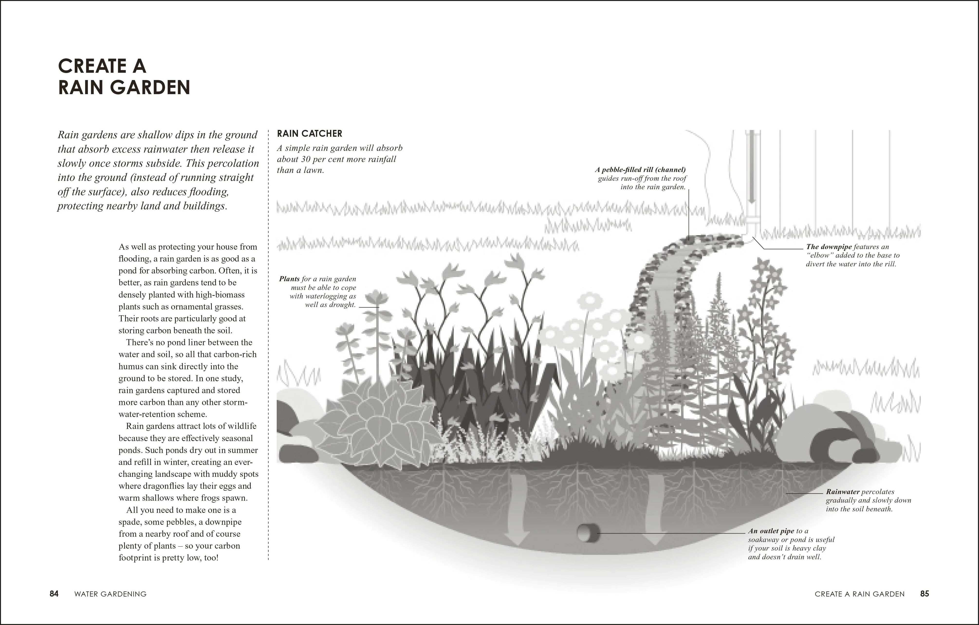 RHS How to Garden the Low-carbon Way - Image 5