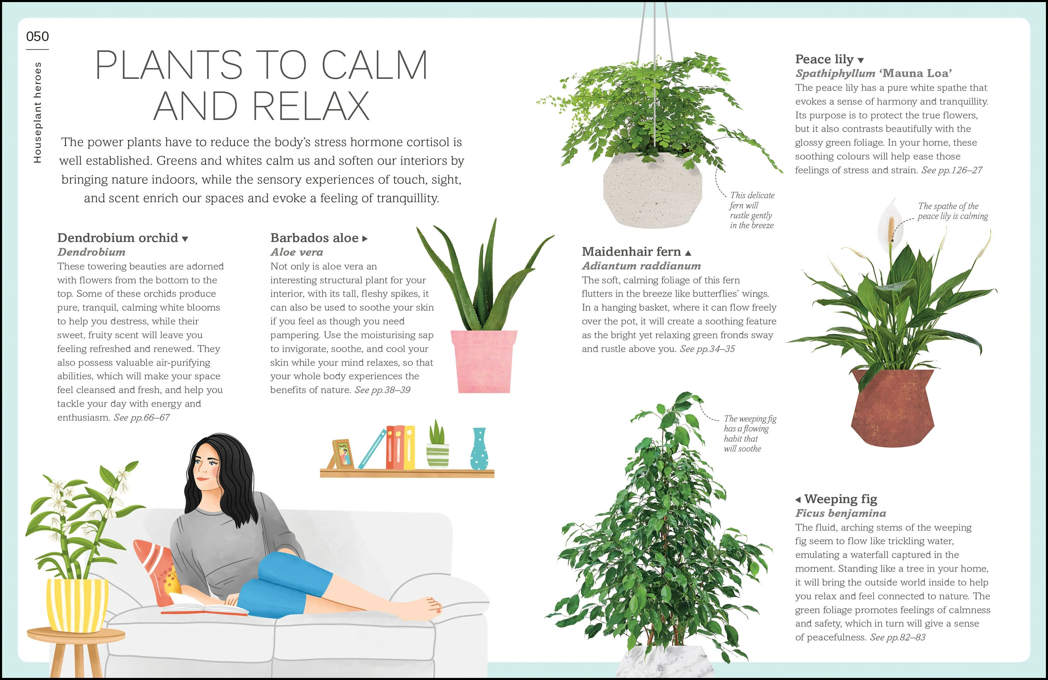 My House Plant Changed My Life - Image 3