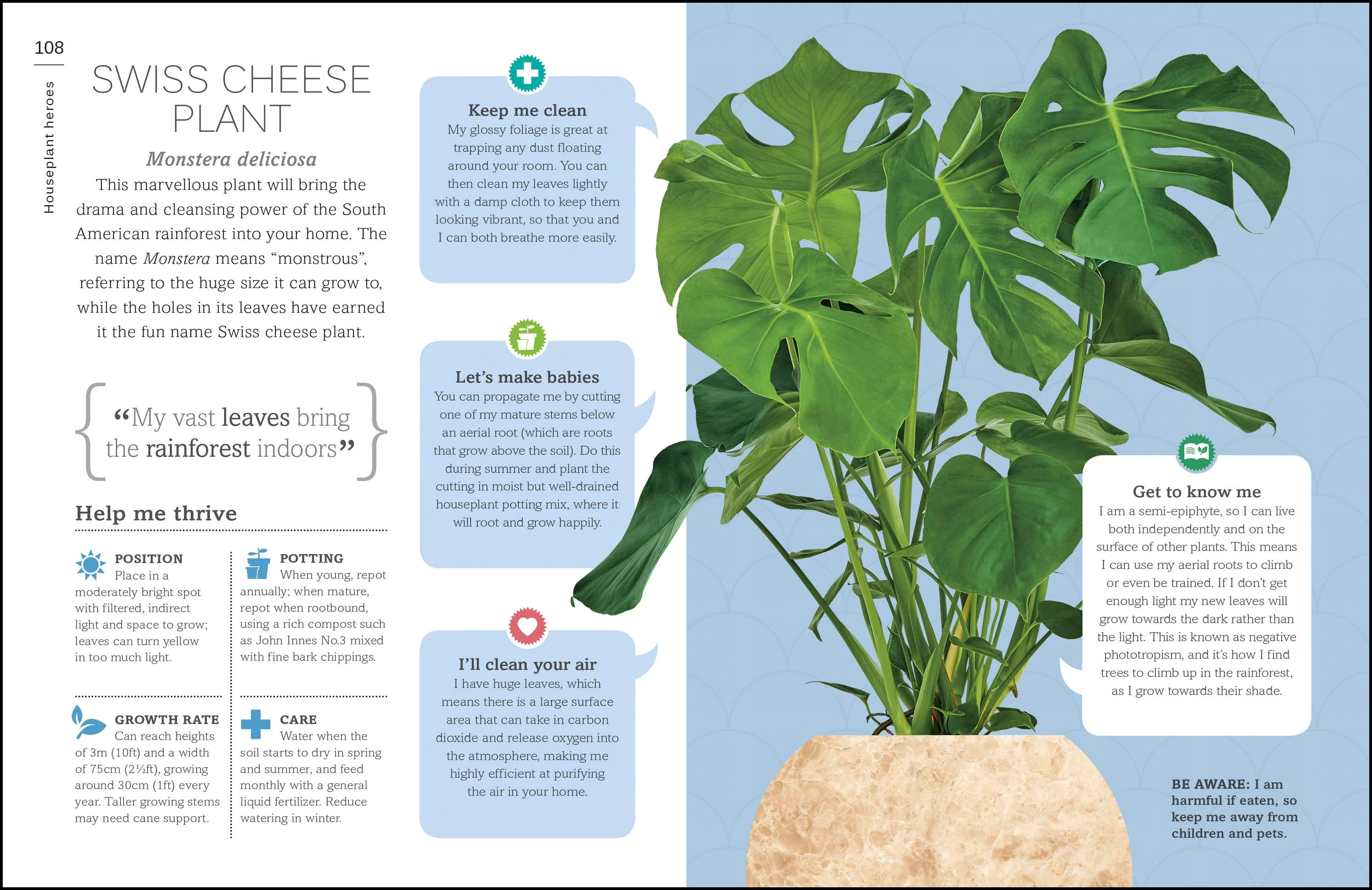 My House Plant Changed My Life - Image 6