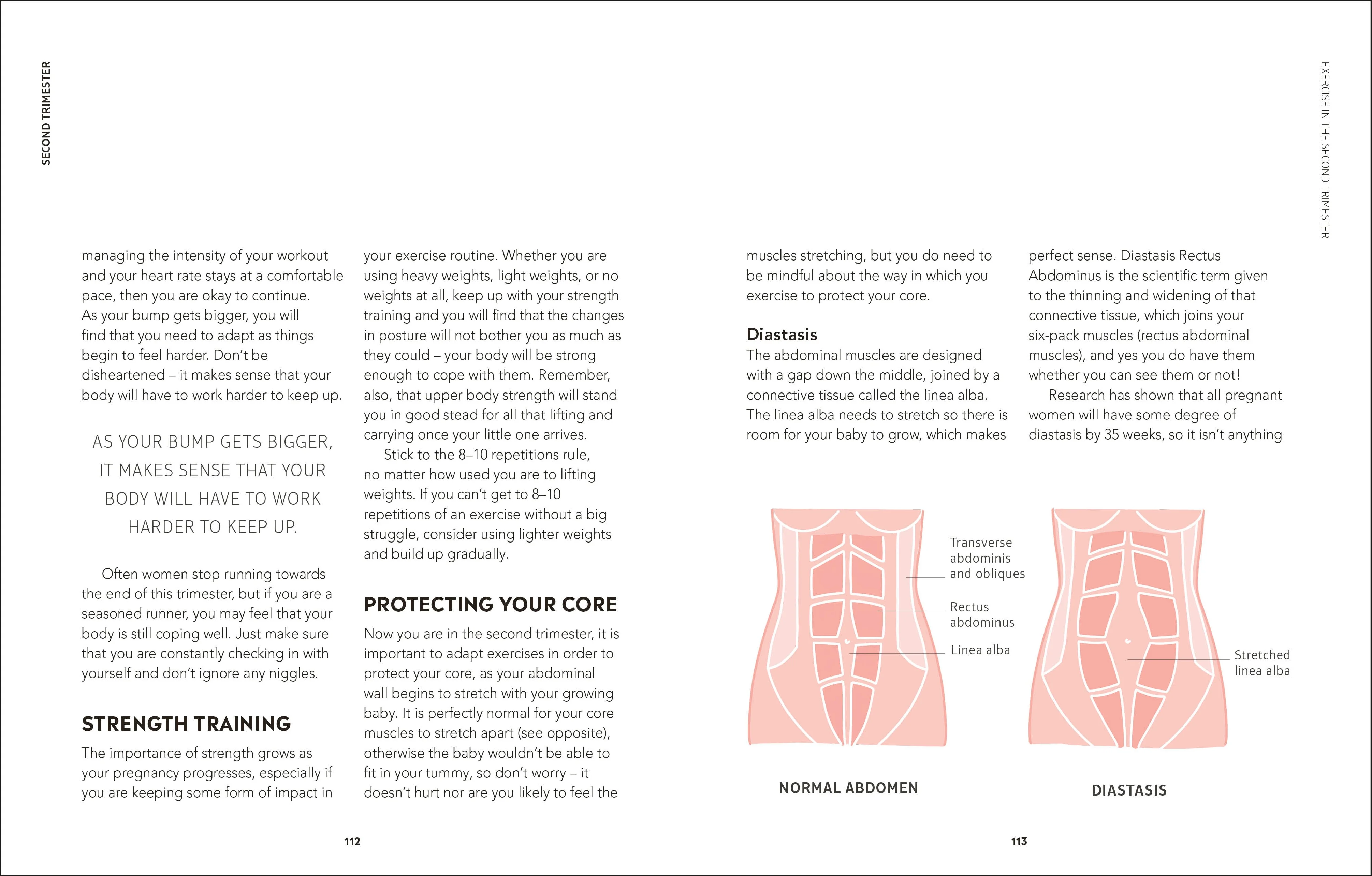 Bumps and Burpees - Image 6