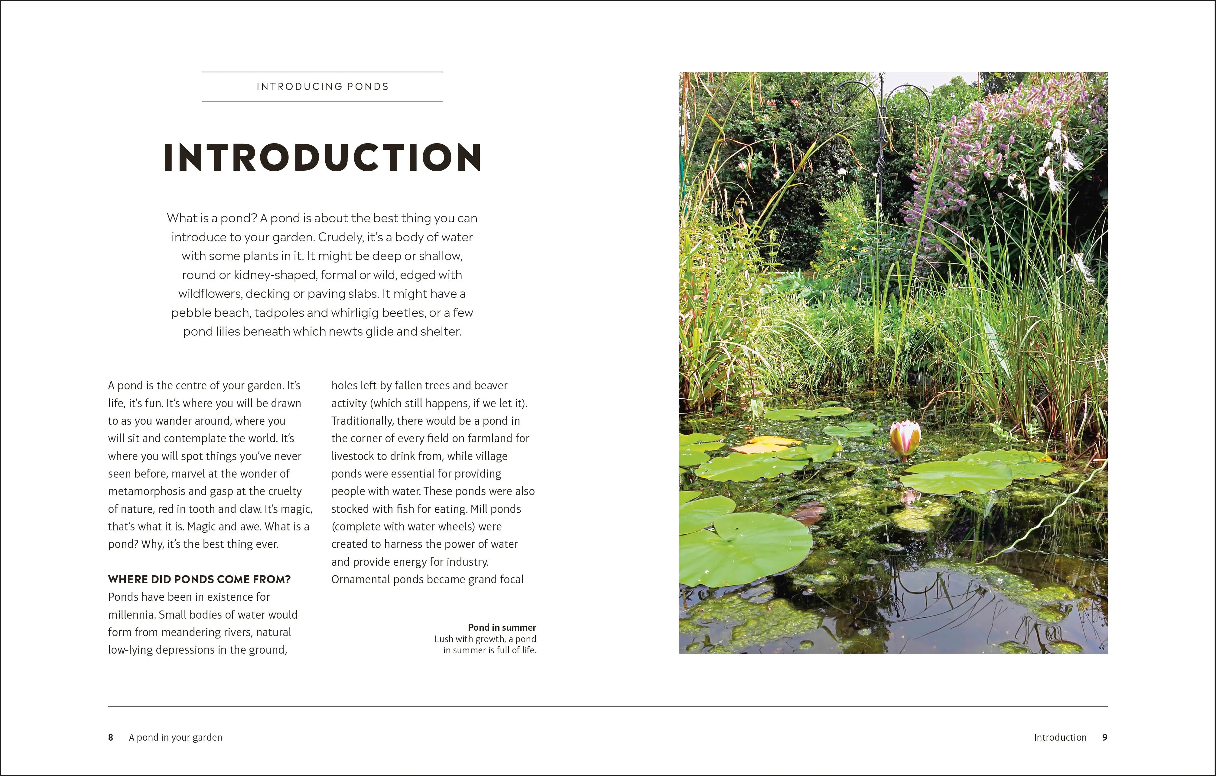 RHS How to Create a Wildlife Pond - Image 2