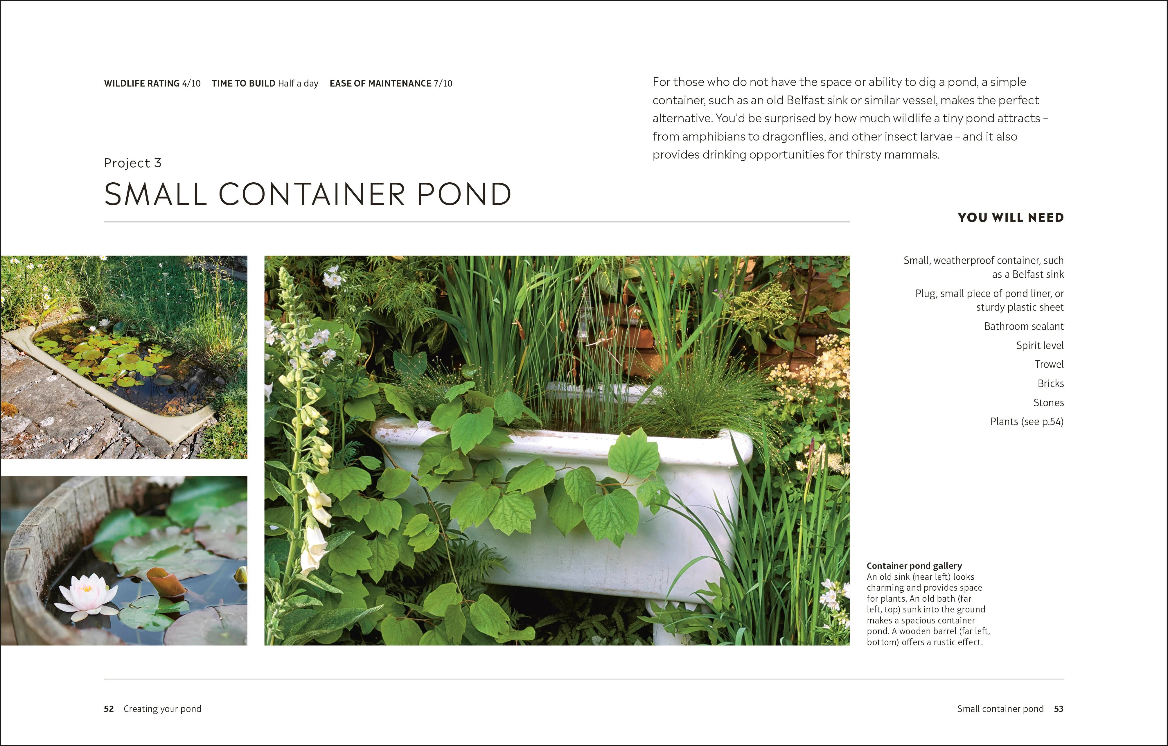 RHS How to Create a Wildlife Pond - Image 4