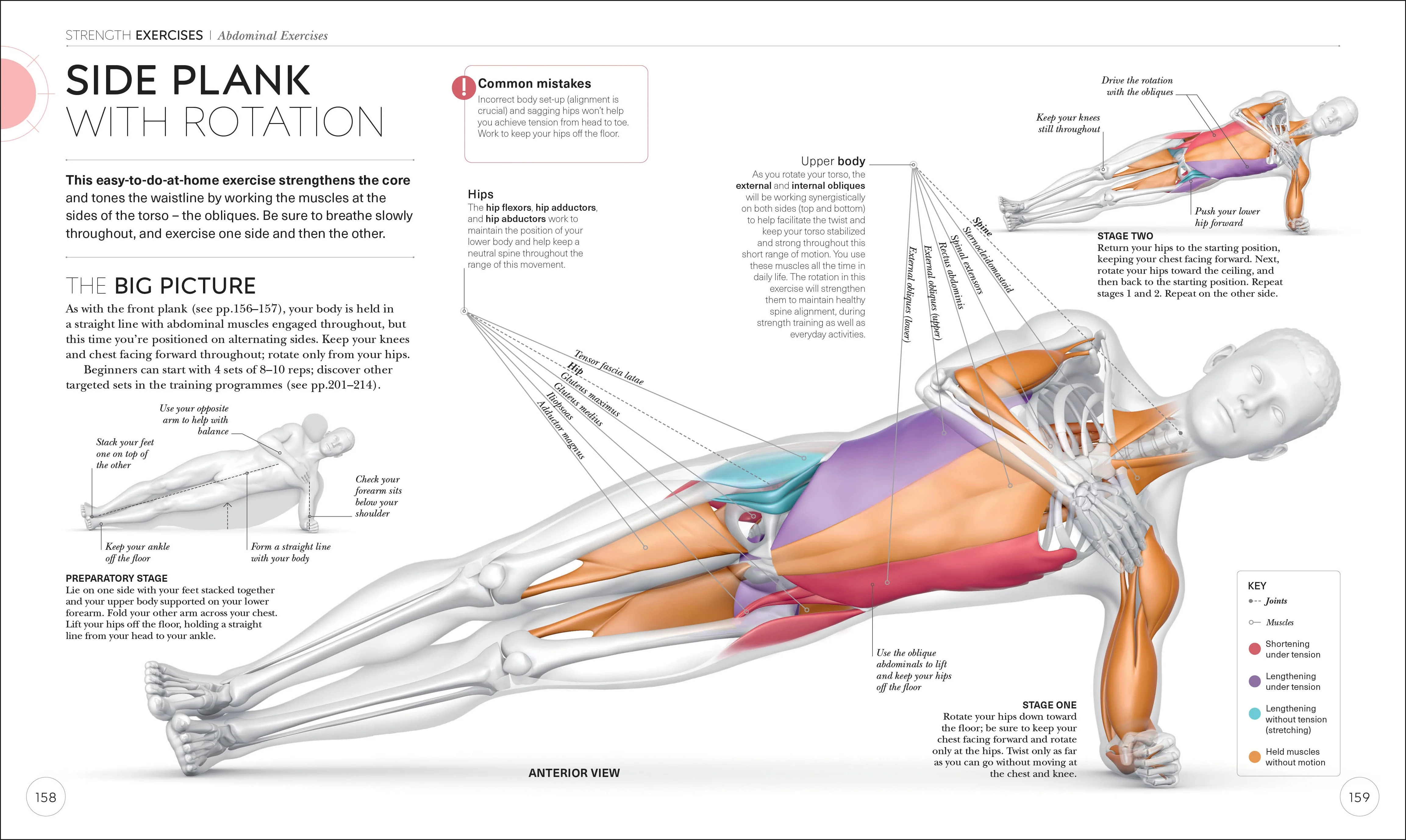 Science of Strength Training - Image 6