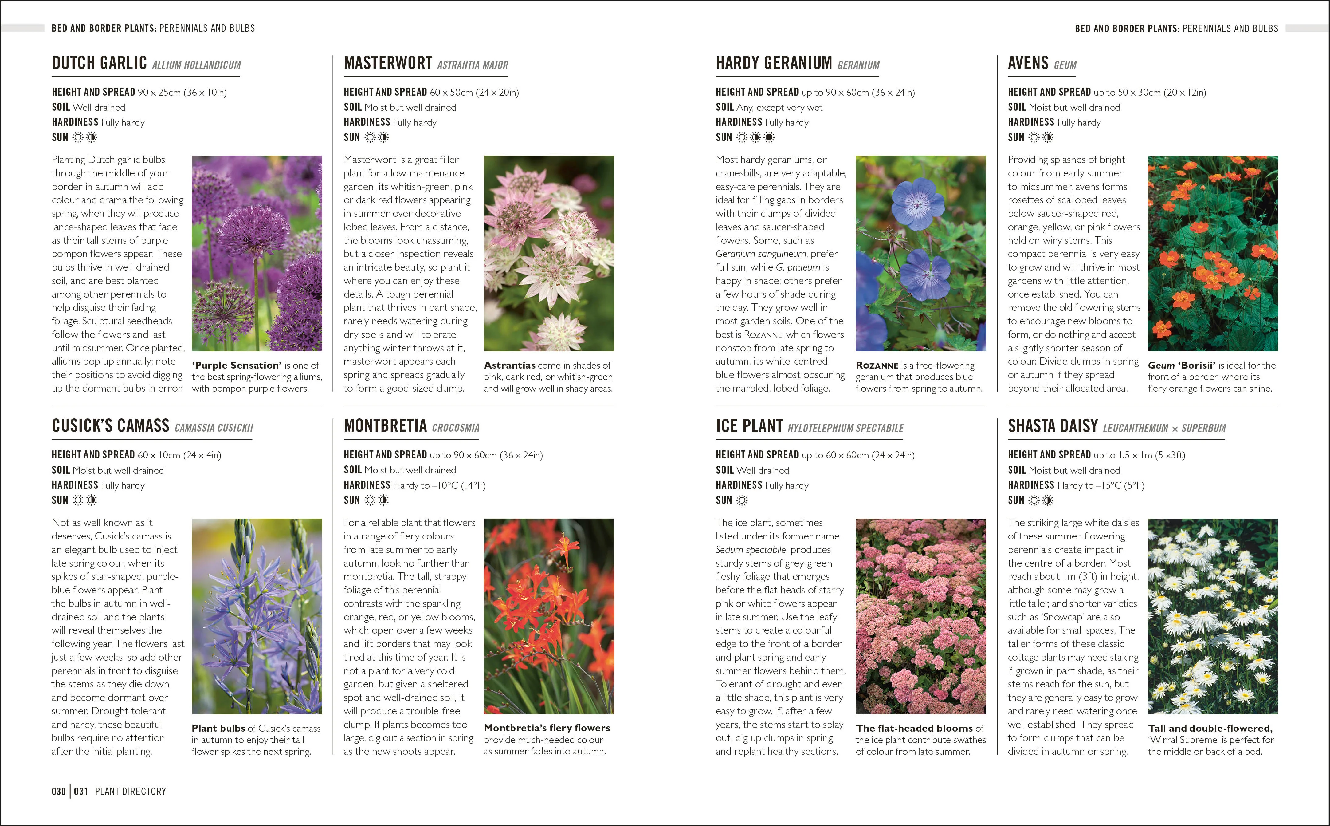Grow Low Maintenance - Image 3