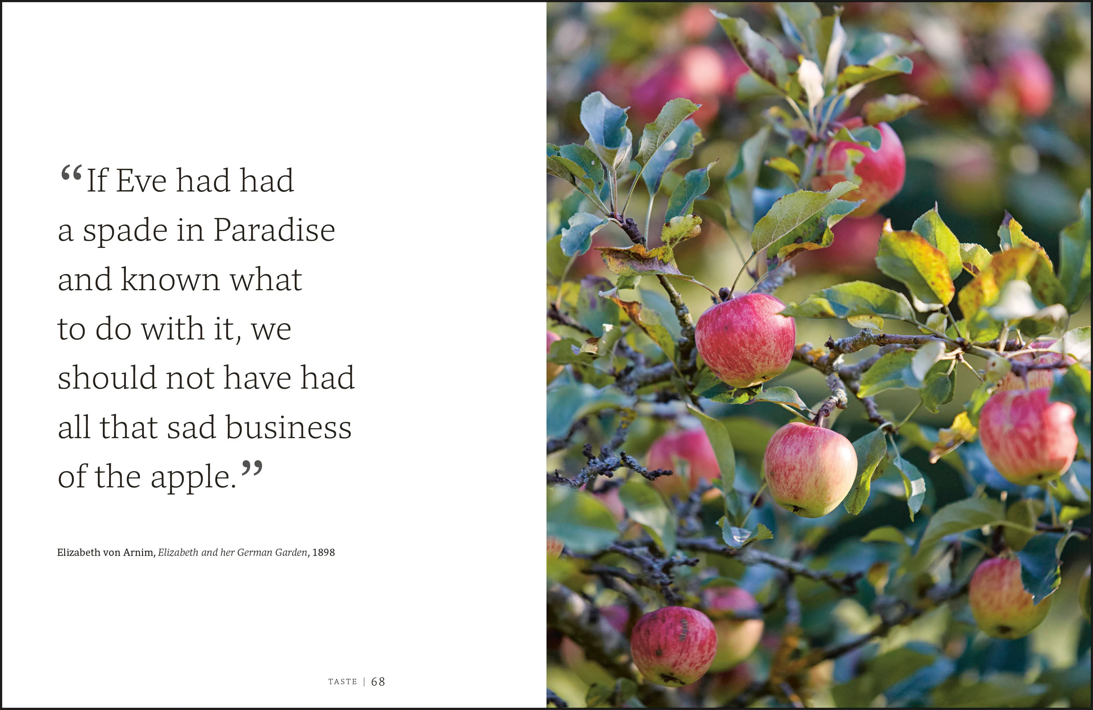 Garden for the Senses - Image 4