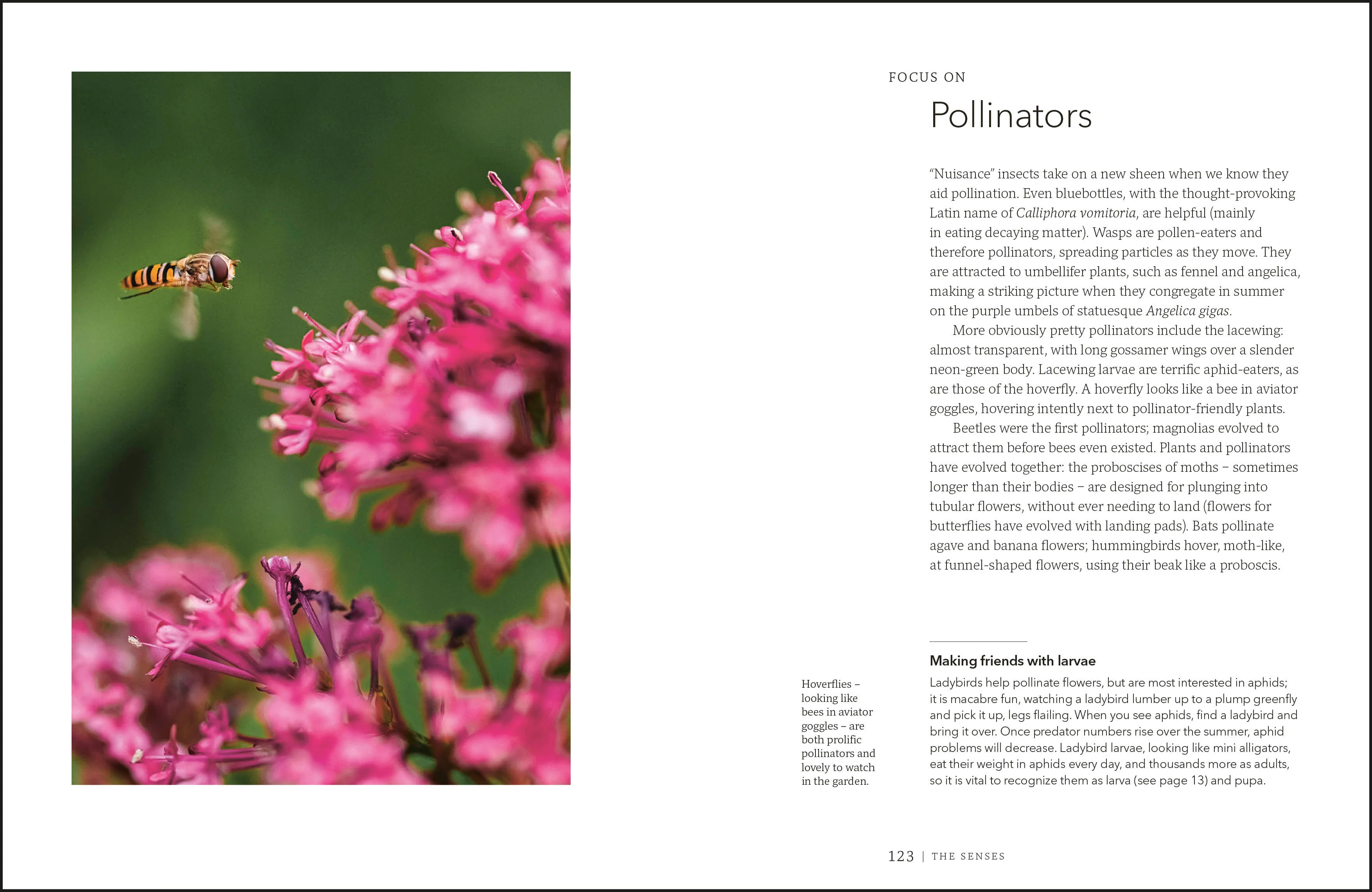 Garden for the Senses - Image 8