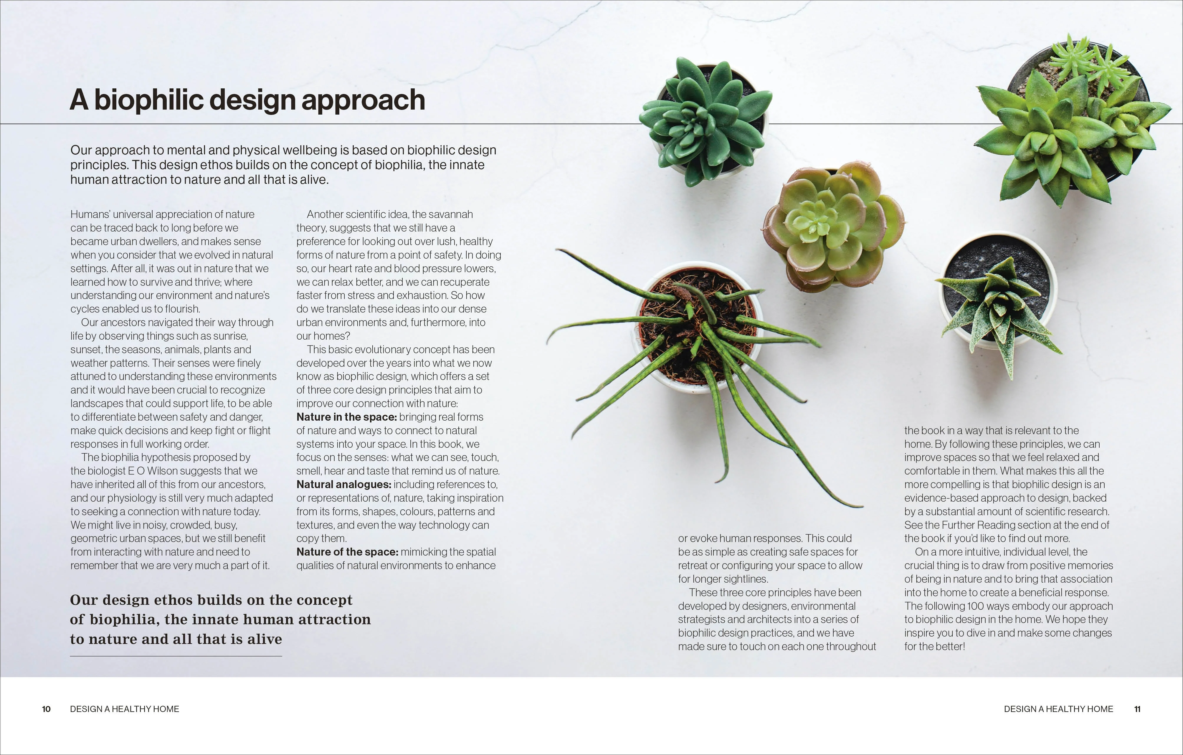 Design A Healthy Home - Image 2
