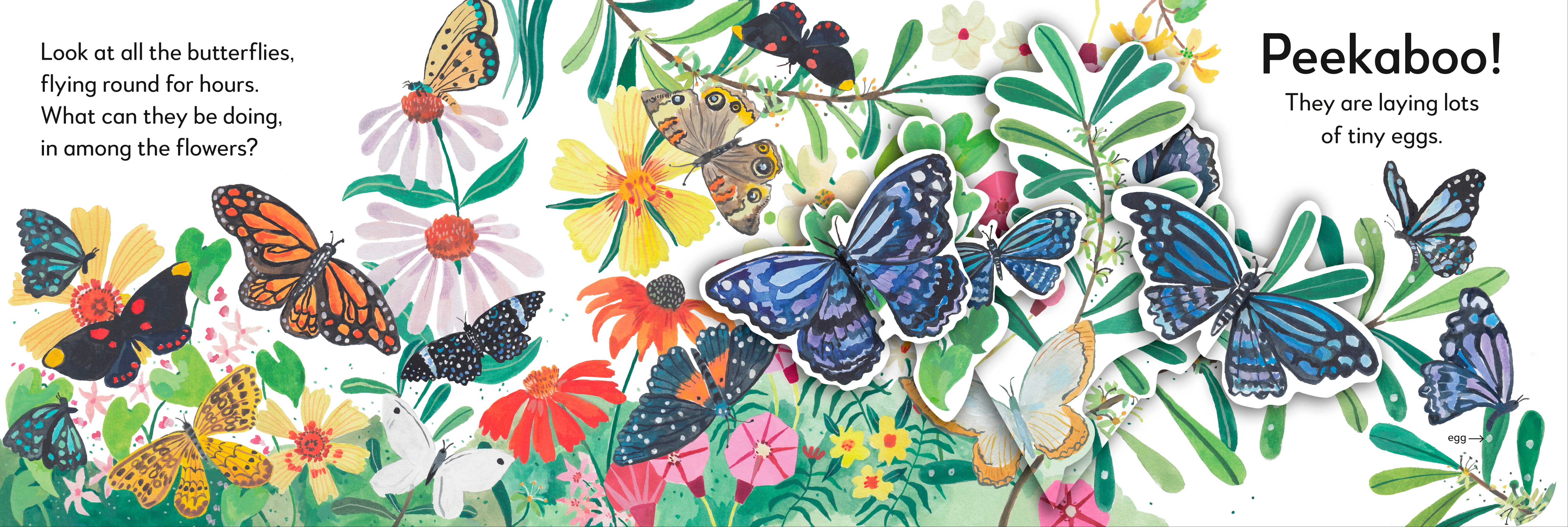 Pop-Up Peekaboo! Butterfly - Image 3