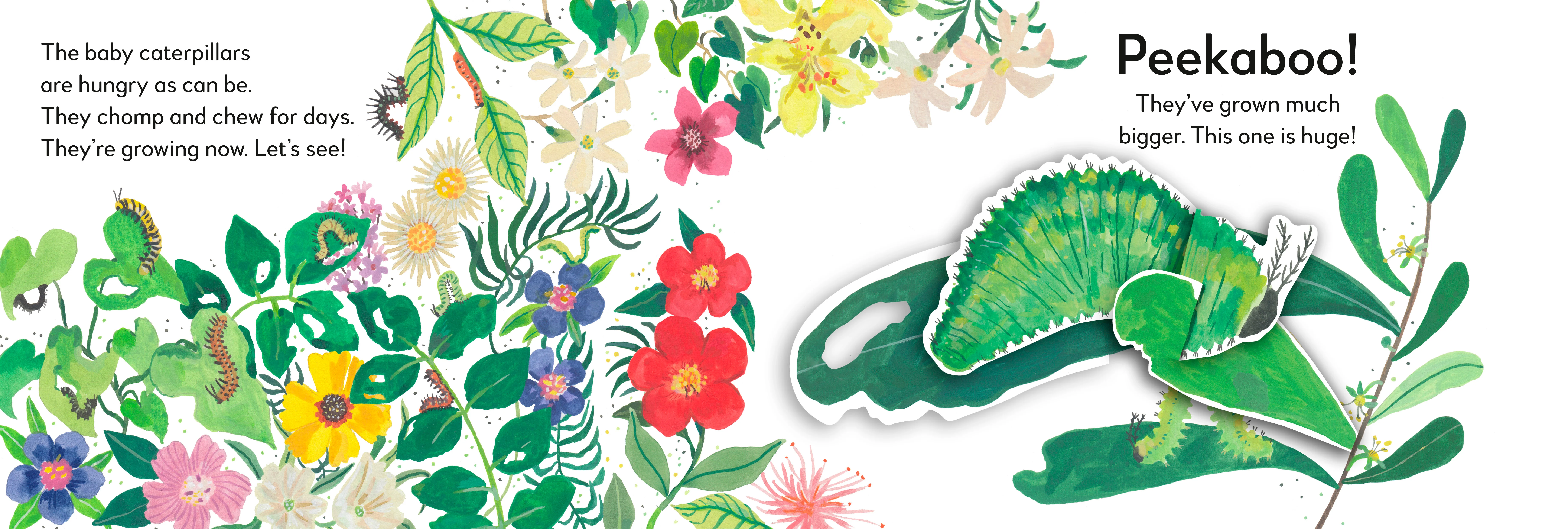 Pop-Up Peekaboo! Butterfly - Image 5