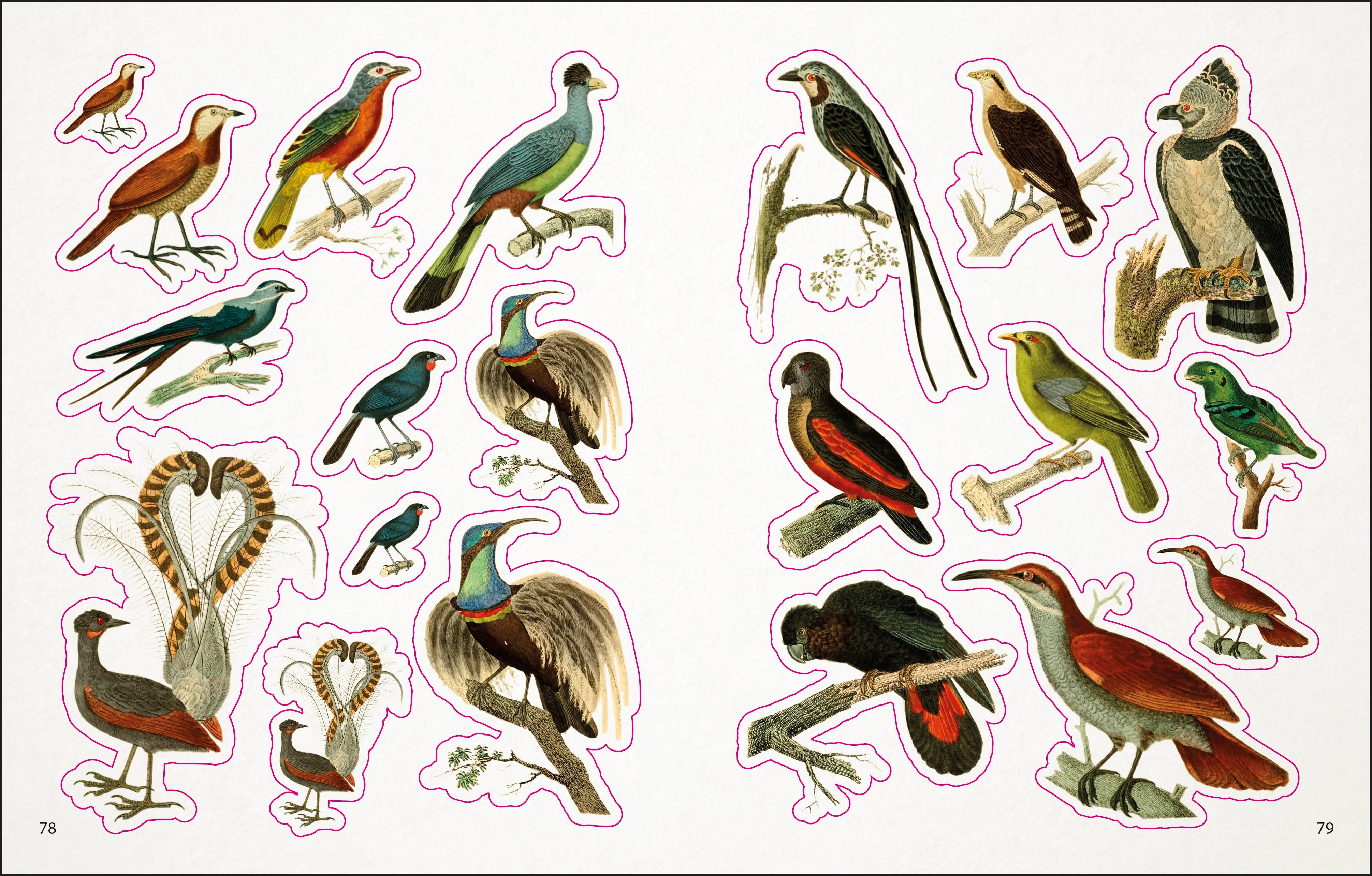 The Bees, Birds & Butterflies Sticker Anthology - Image 4