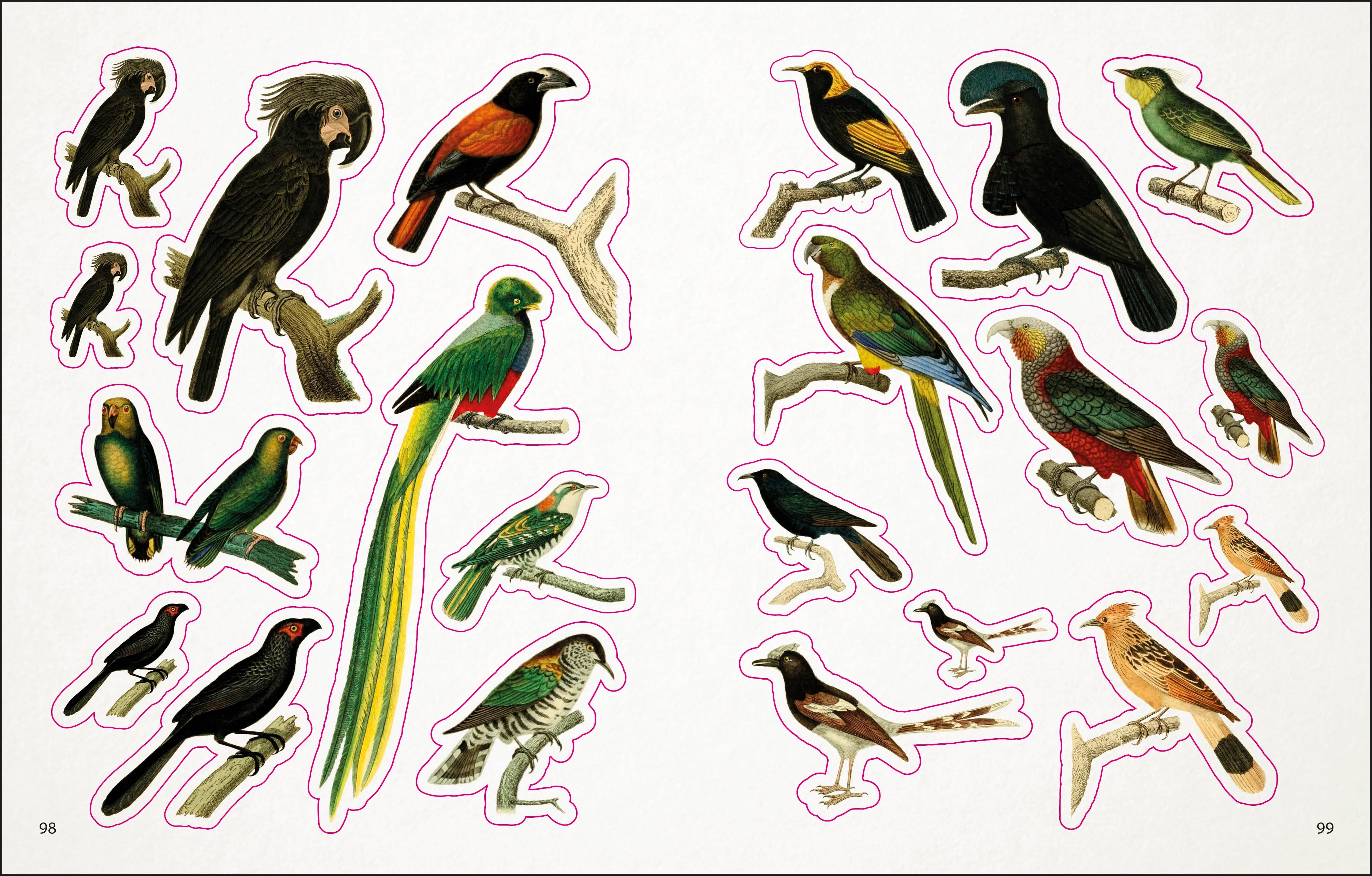 The Bees, Birds & Butterflies Sticker Anthology - Image 5