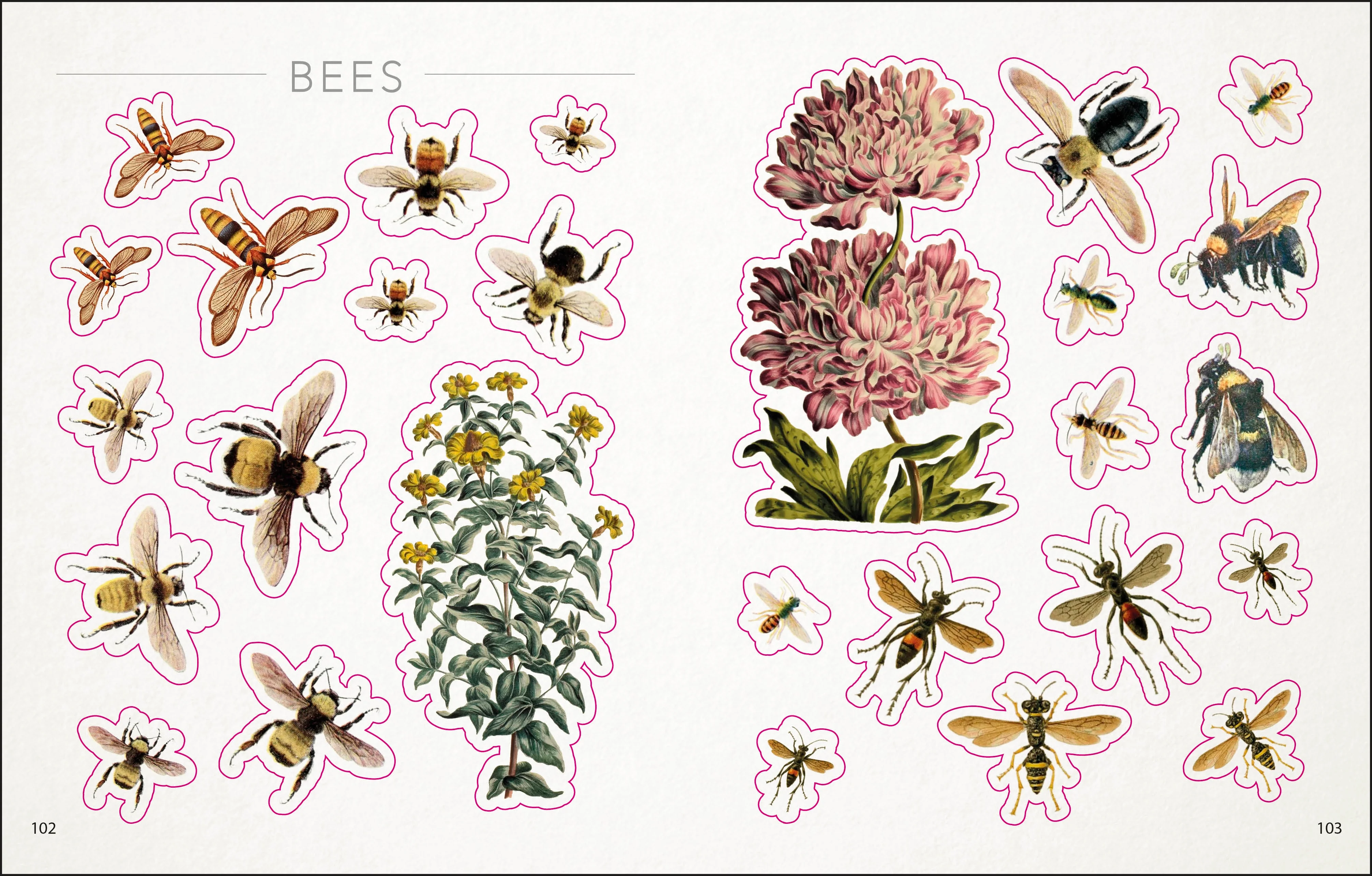 The Bees, Birds & Butterflies Sticker Anthology - Image 6