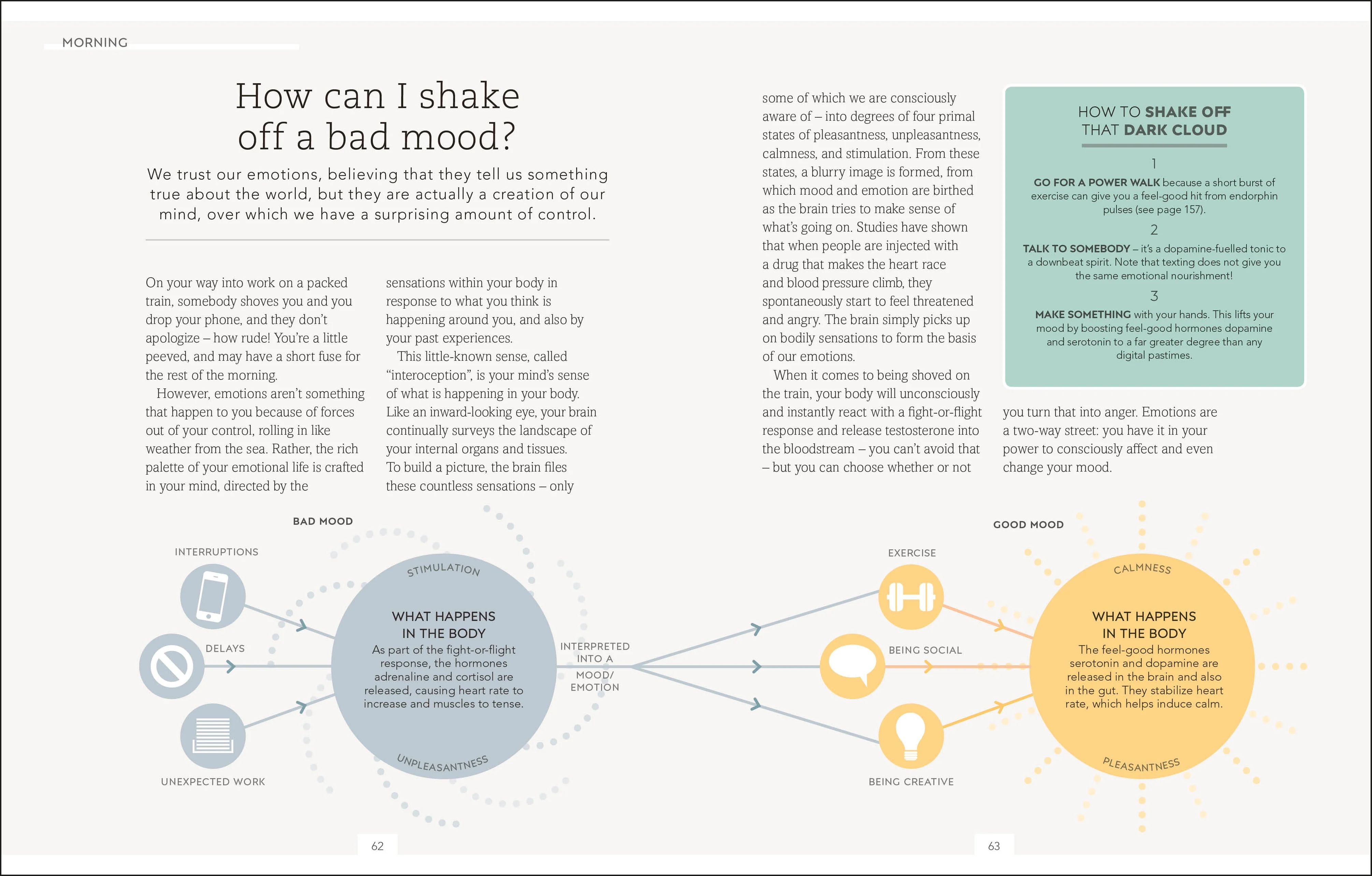 The Science of Living (UK) / Live Your Best Life (US) - Image 3