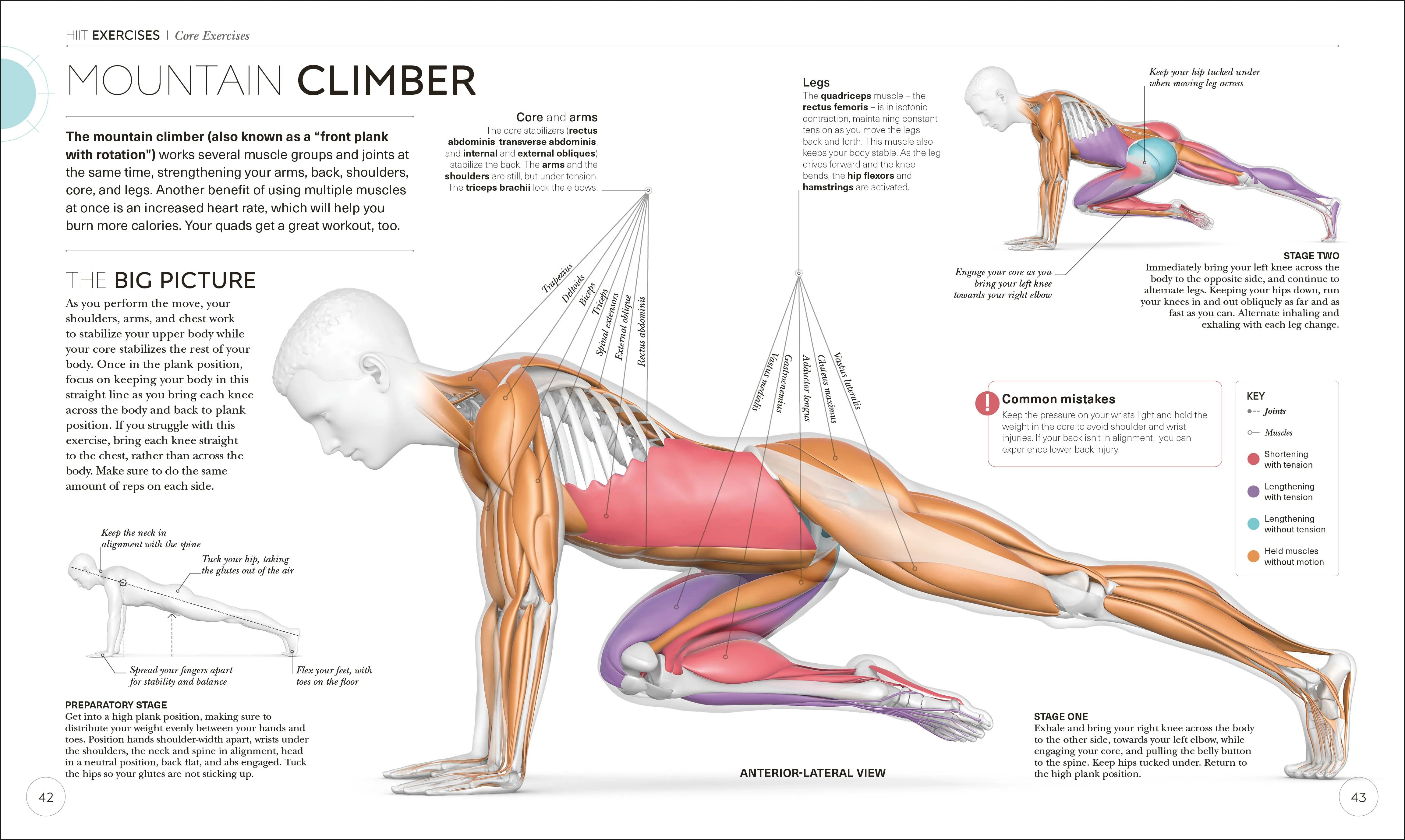 Science of HIIT - Image 4