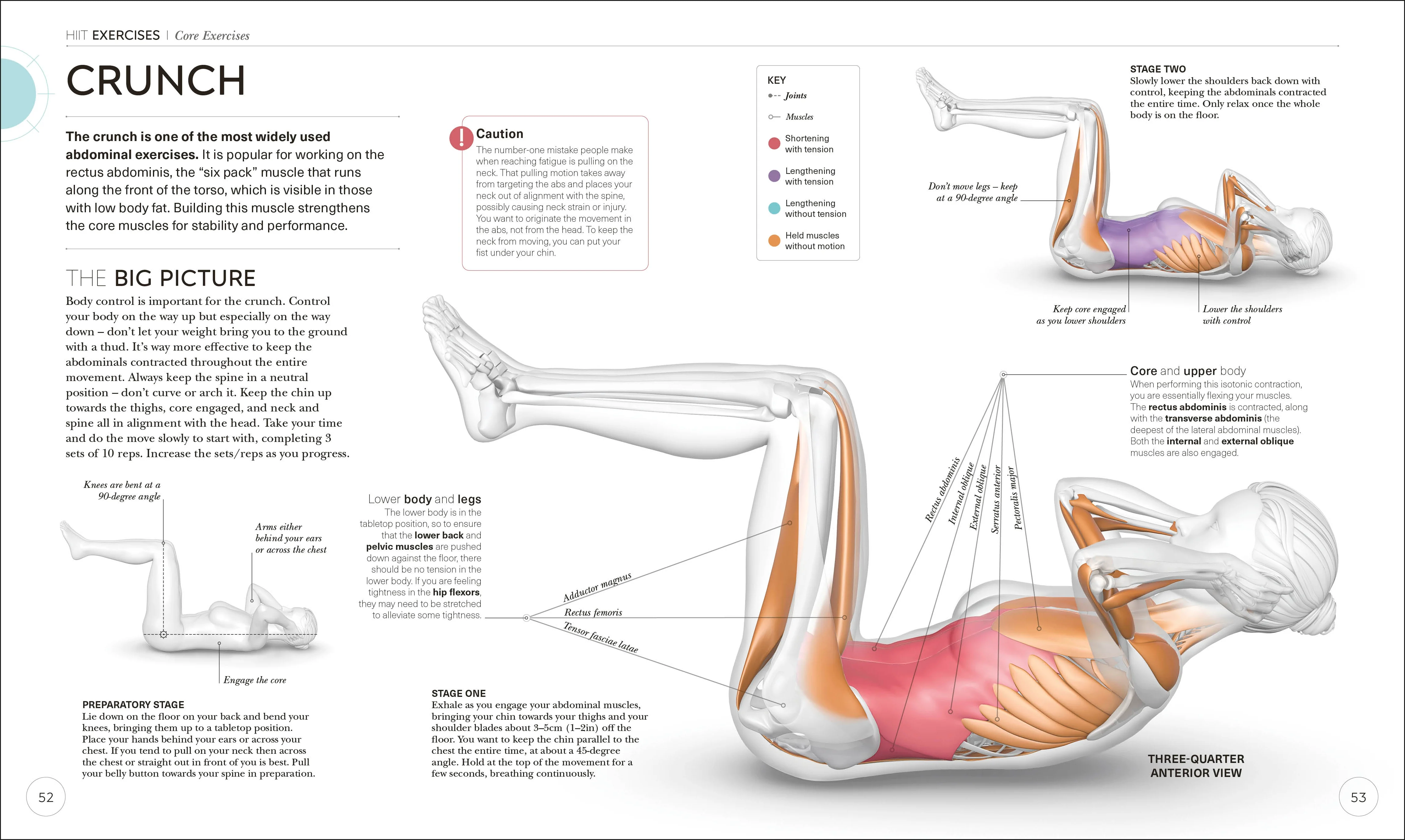 Science of HIIT - Image 5