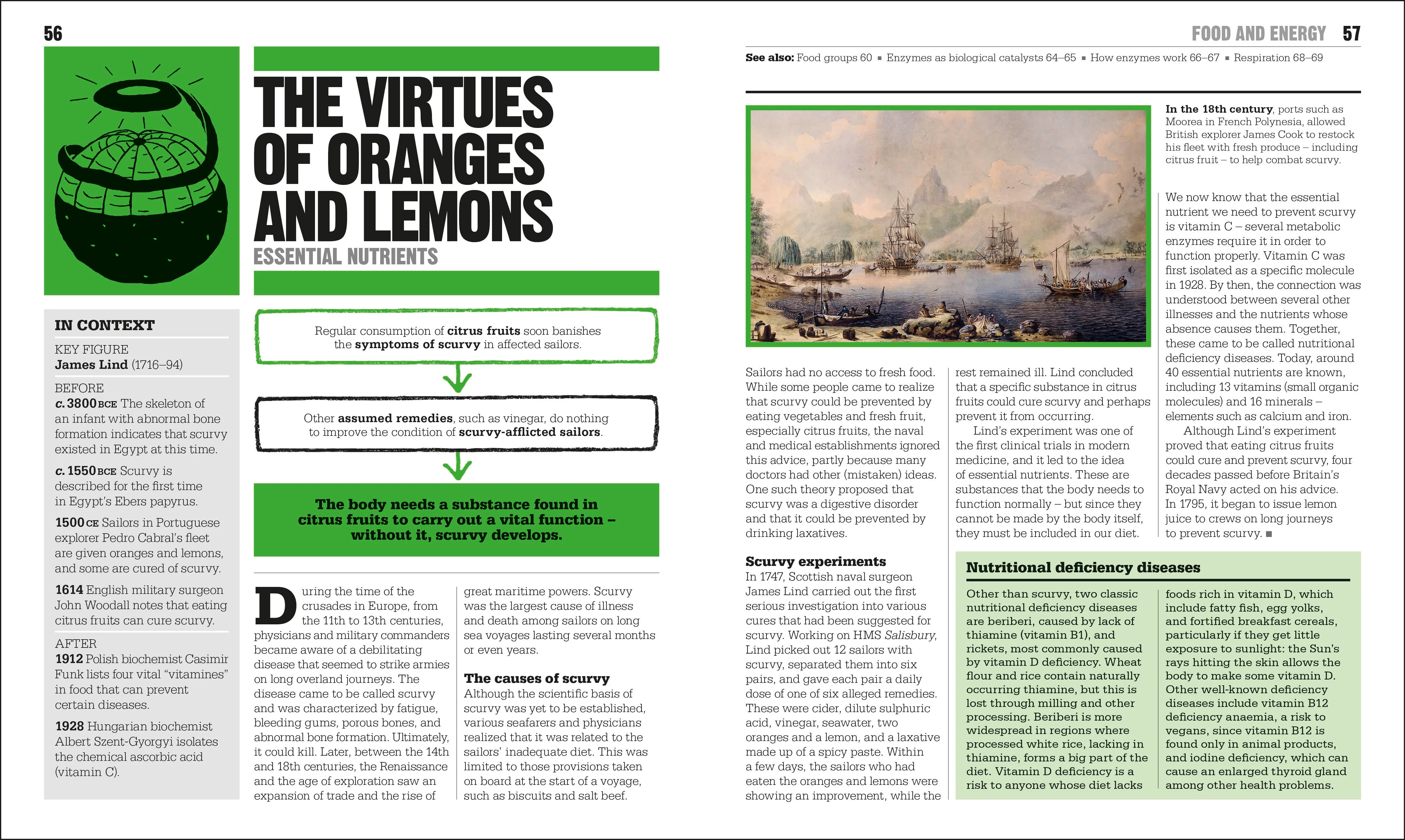 The Biology Book - Image 3