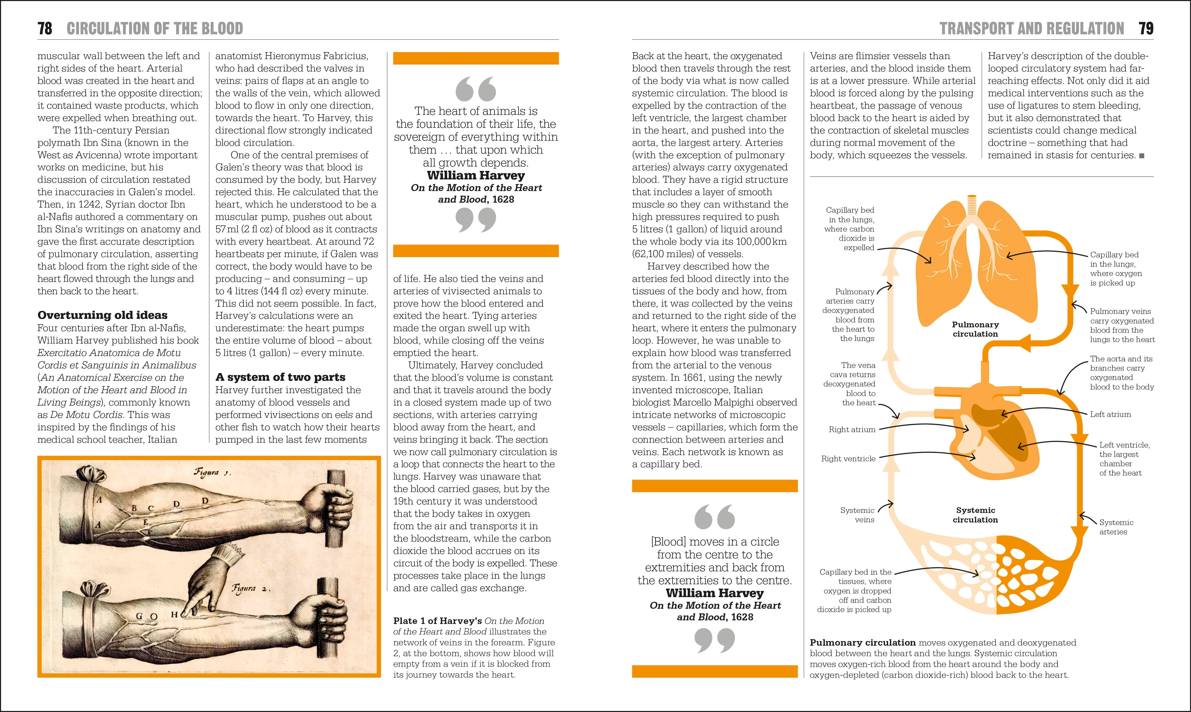 The Biology Book - Image 5