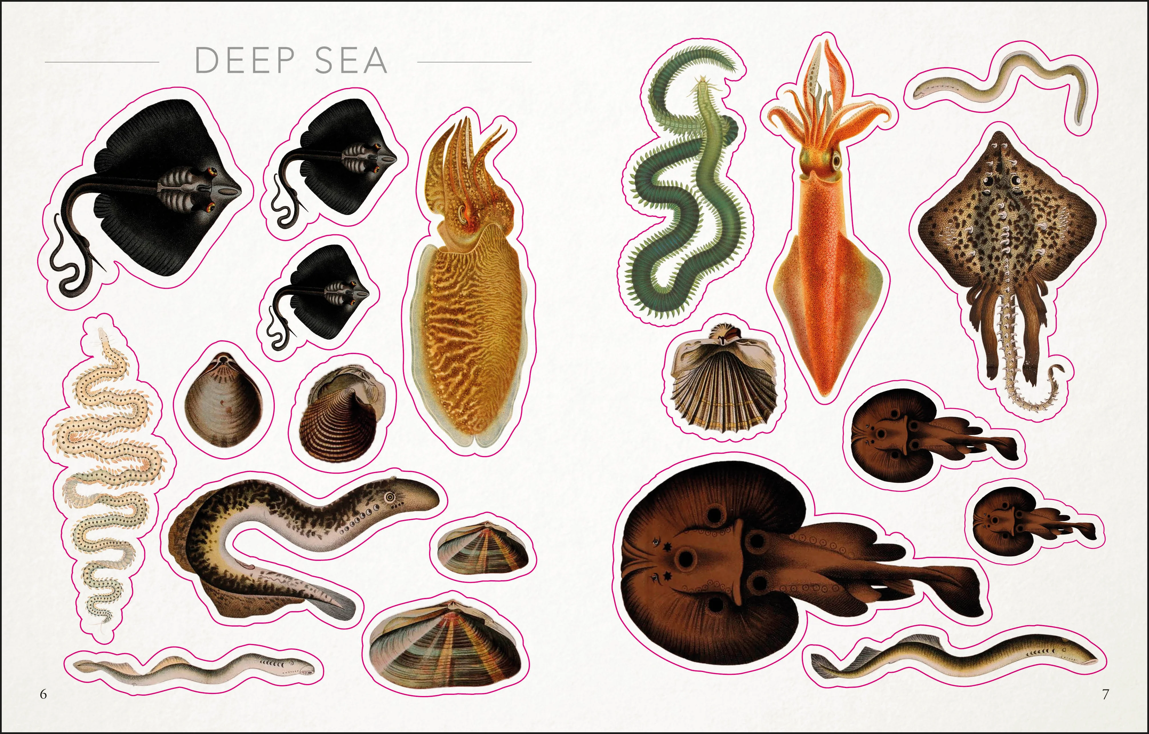The Seashore Sticker Anthology - Image 2
