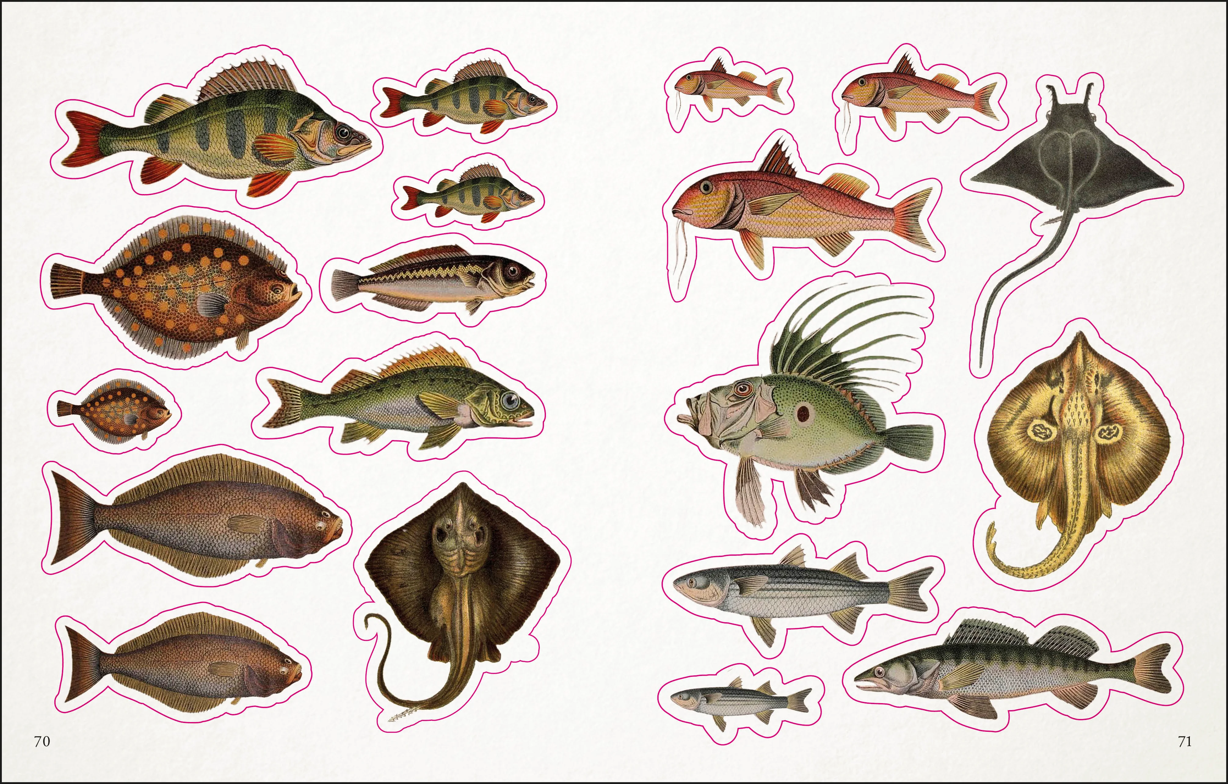 The Seashore Sticker Anthology - Image 7