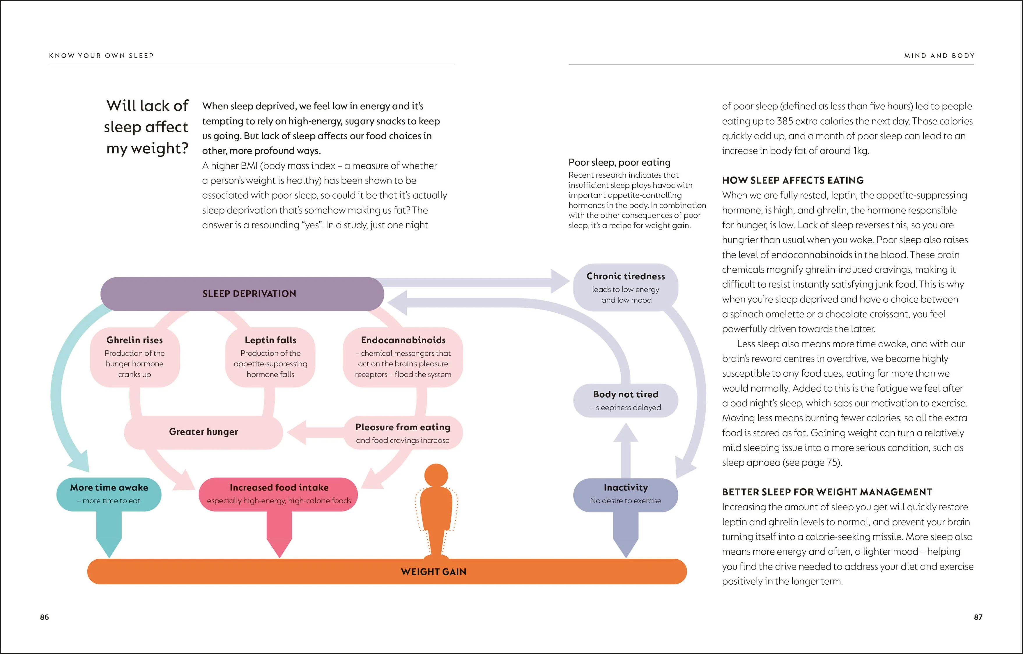 The Science of Sleep - Image 4