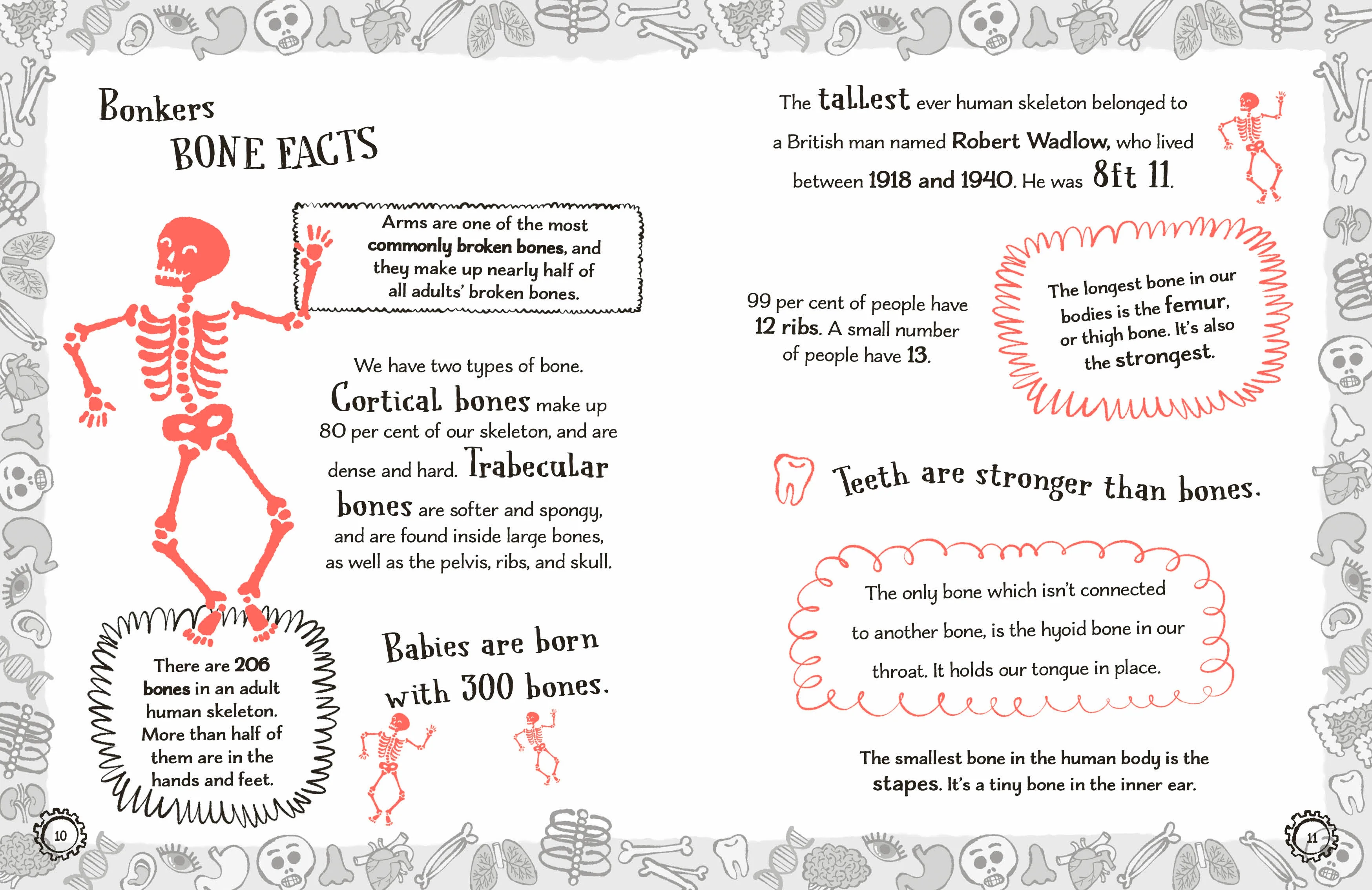 Radzi's Incredible Facts - Image 2