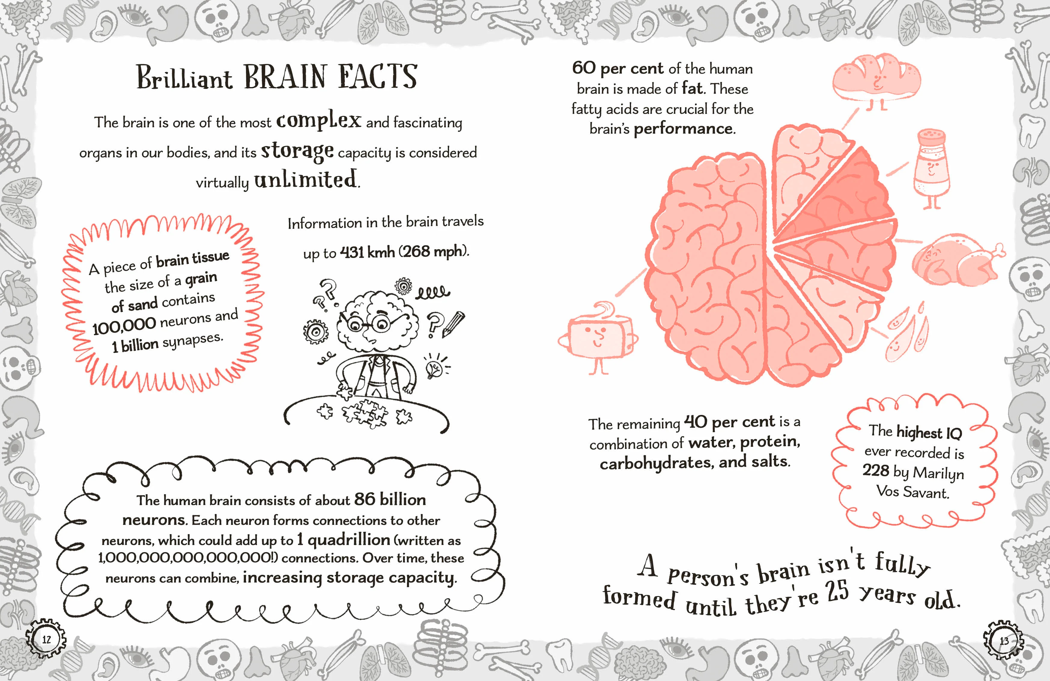 Radzi's Incredible Facts - Image 3