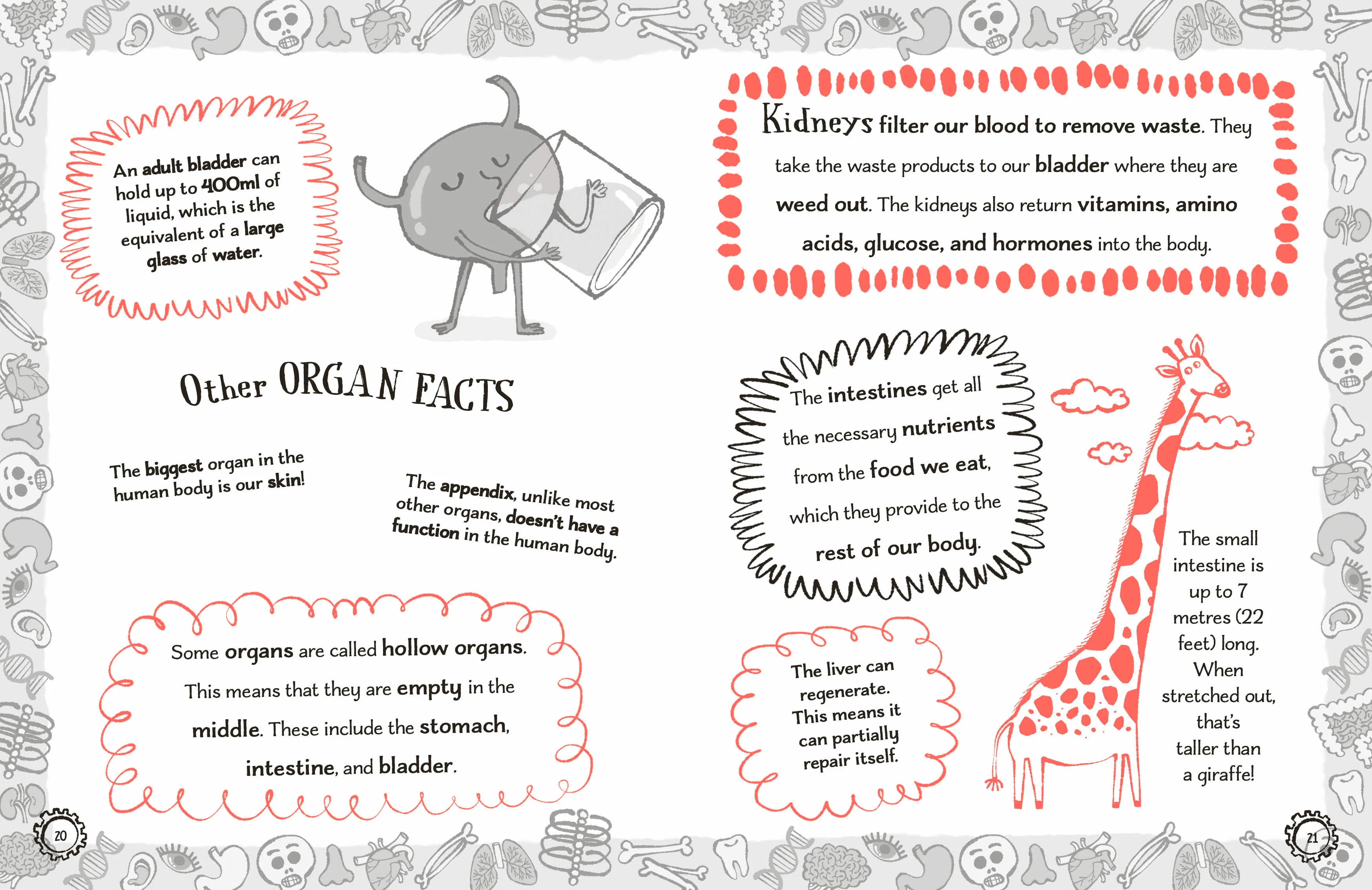 Radzi's Incredible Facts - Image 4