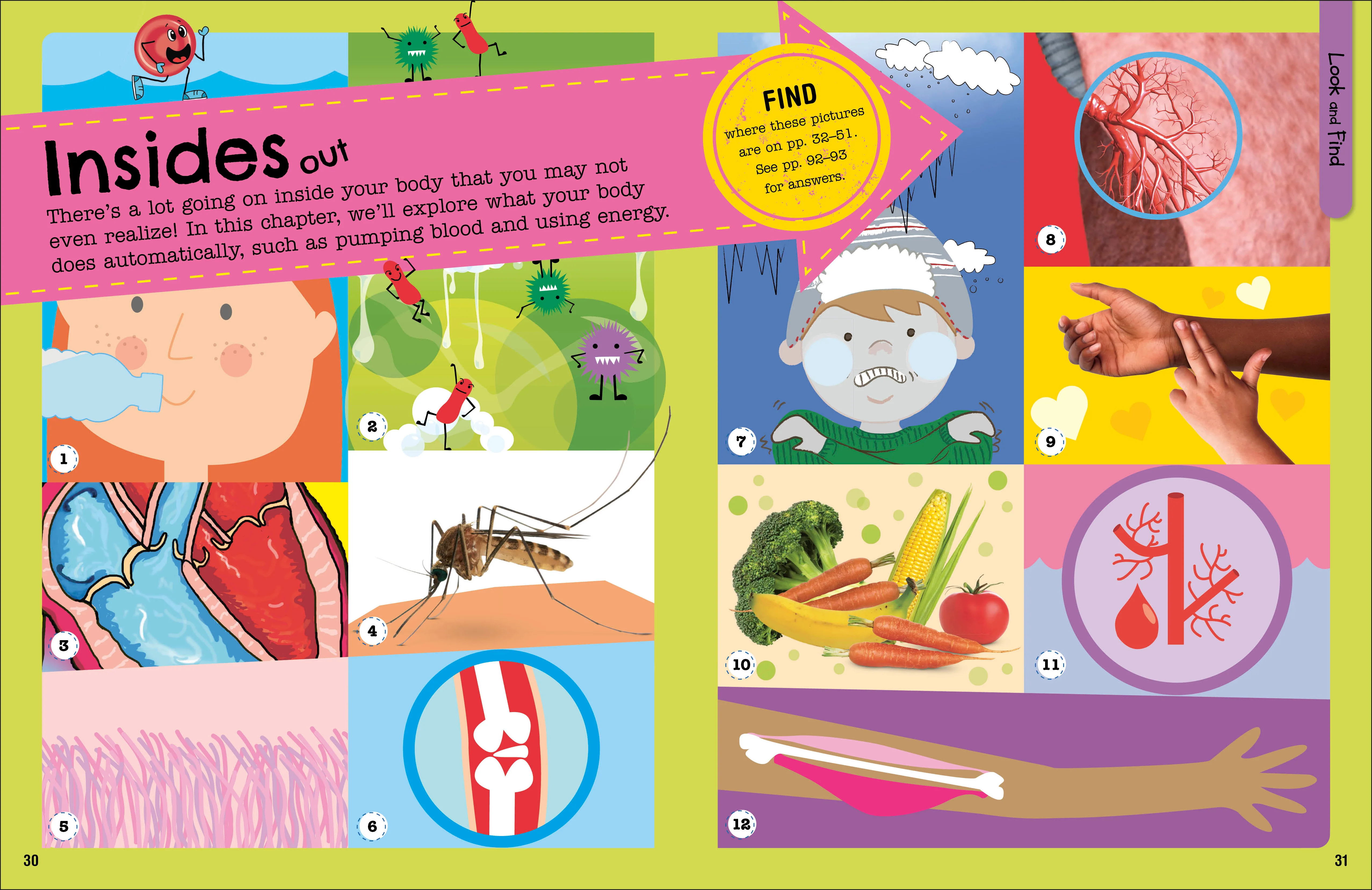 The Fact-Packed Activity Book: Human Body - Image 5