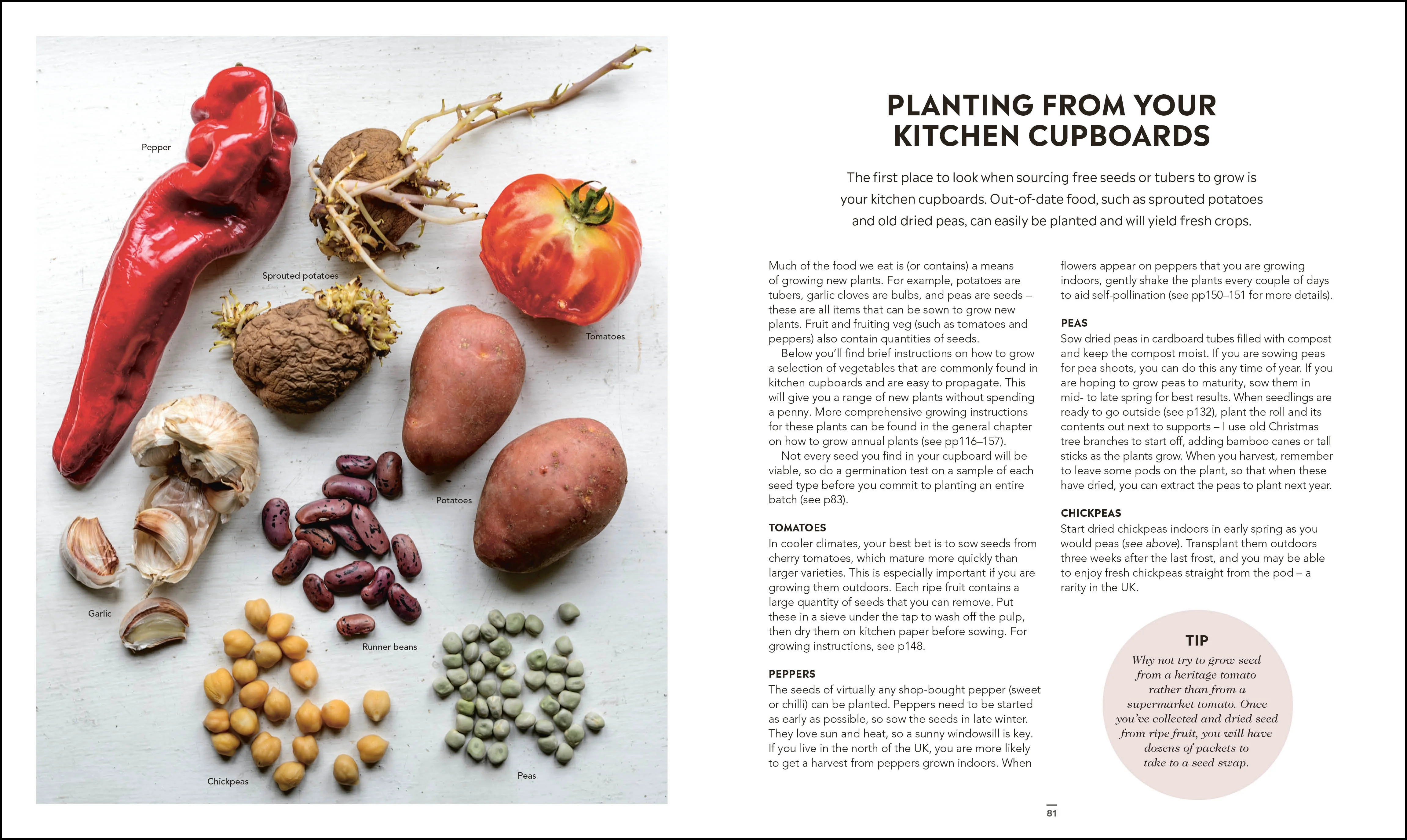 Grow Food for Free - Image 4
