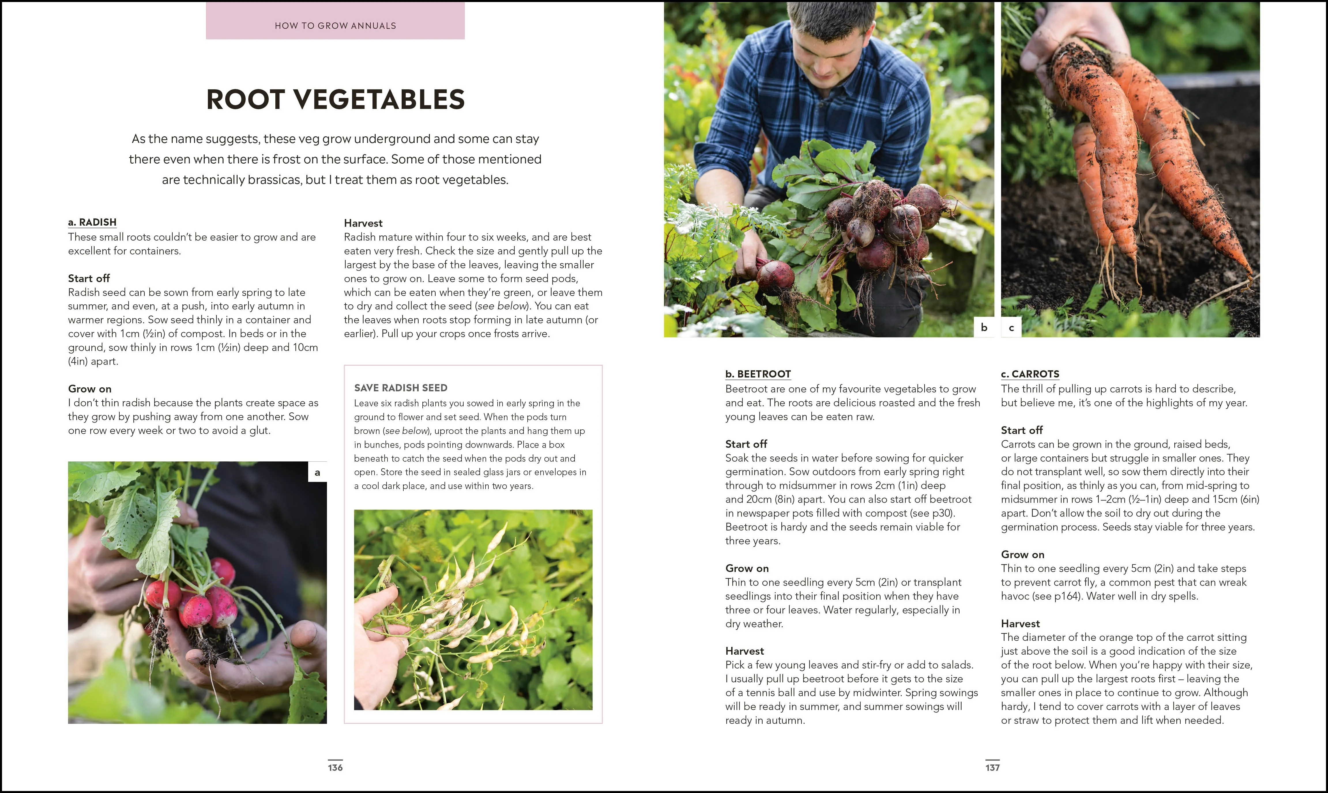 Grow Food for Free - Image 6