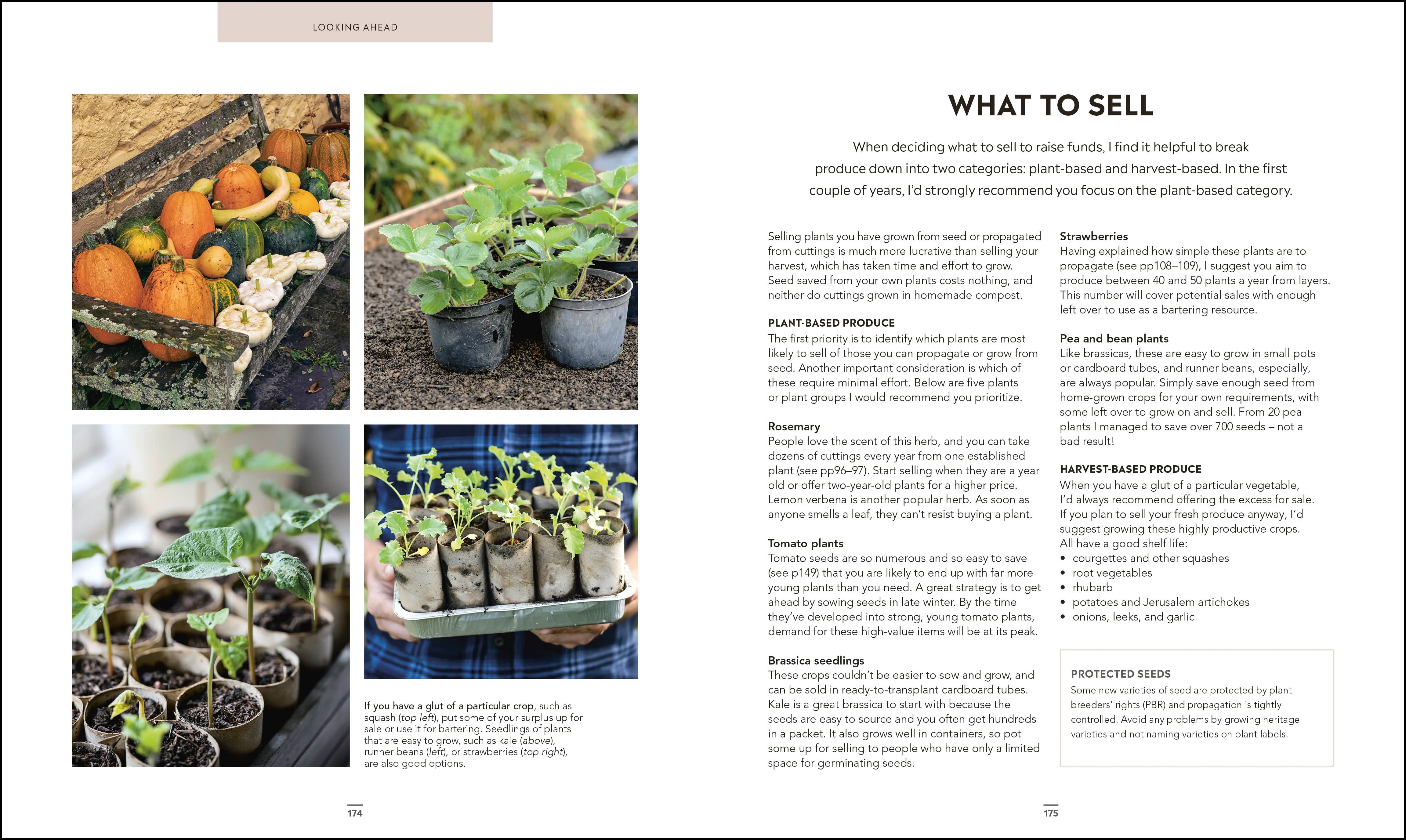 Grow Food for Free - Image 7