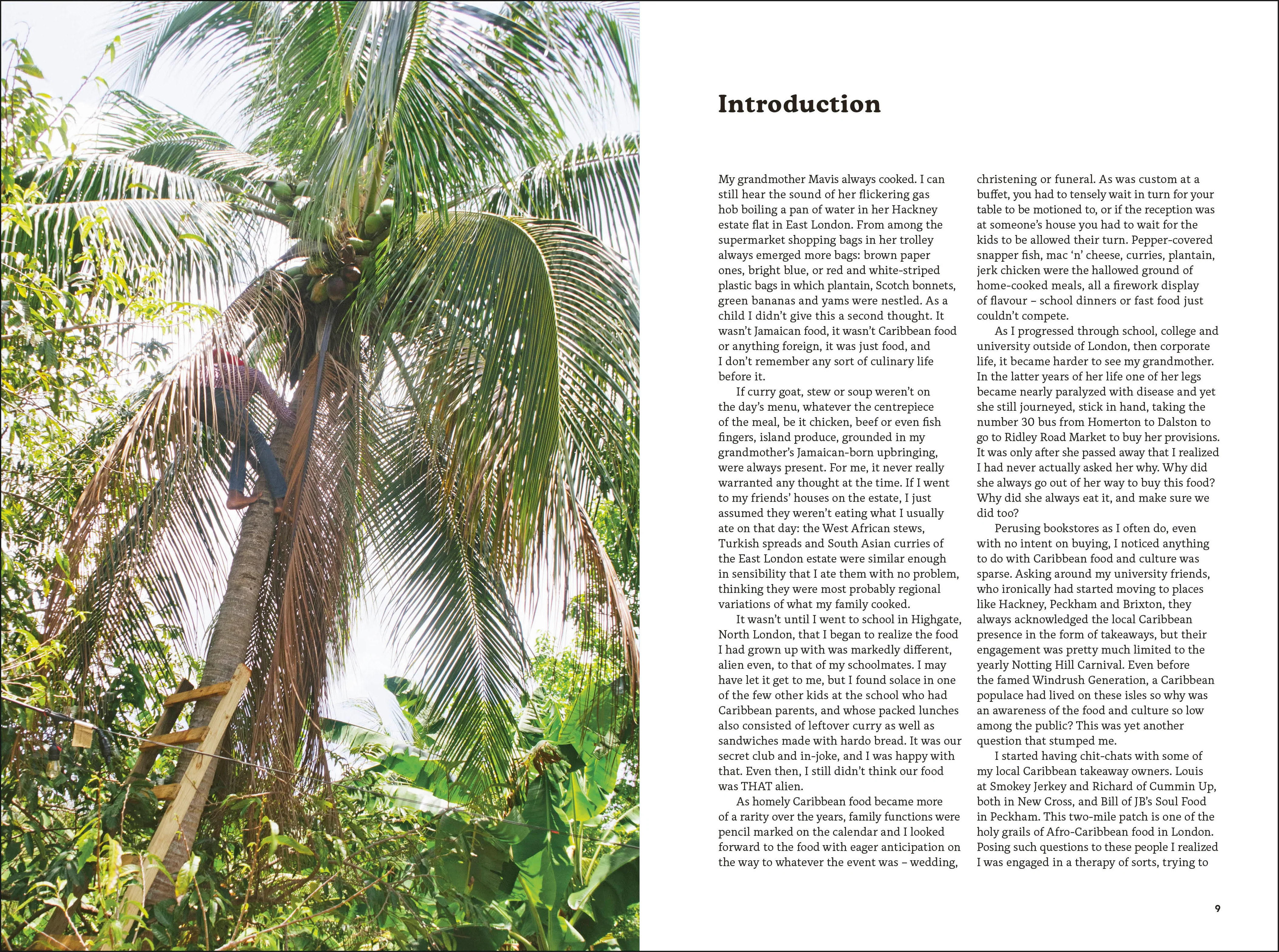 West Winds - Image 3