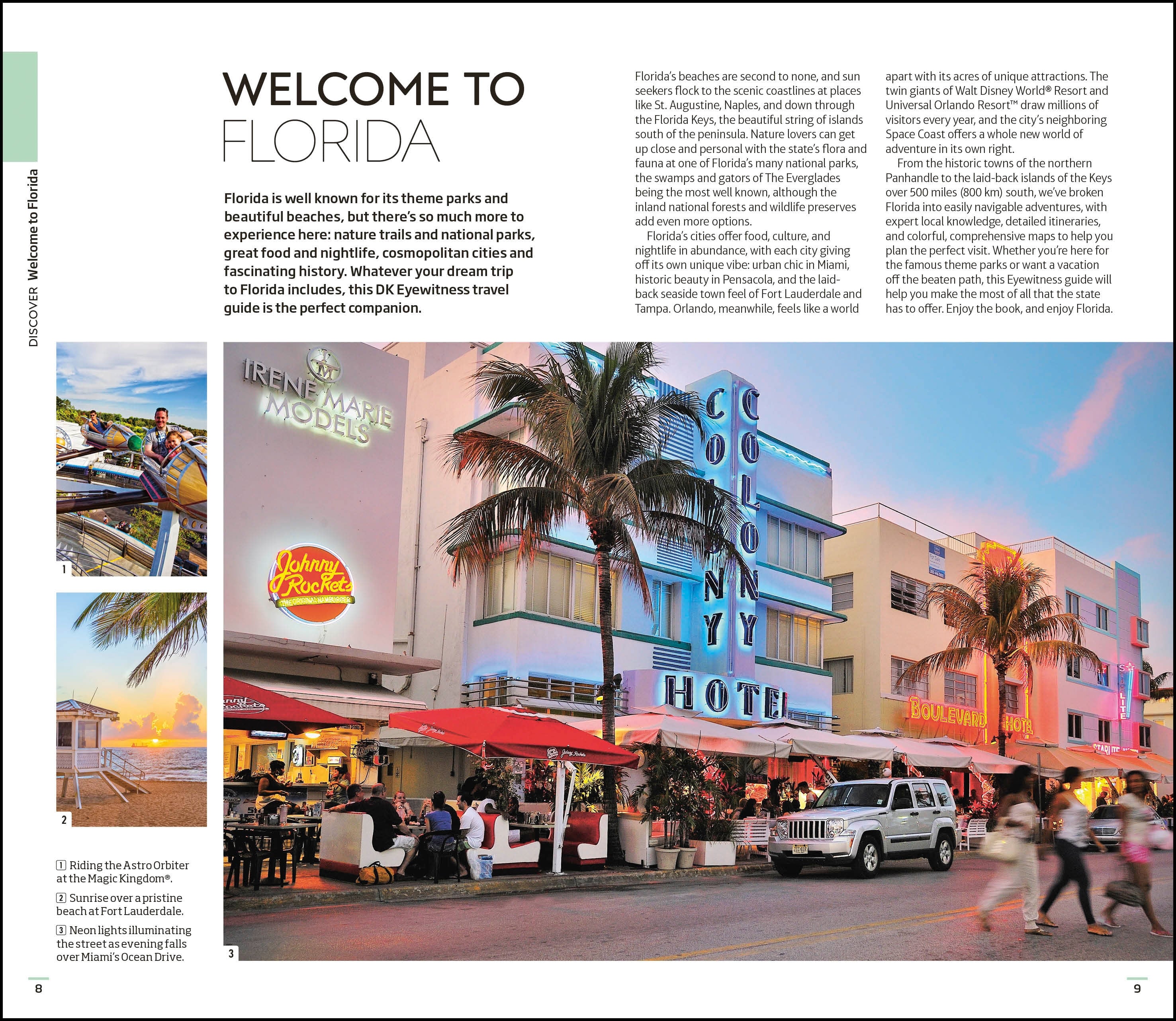 DK Florida - Image 3
