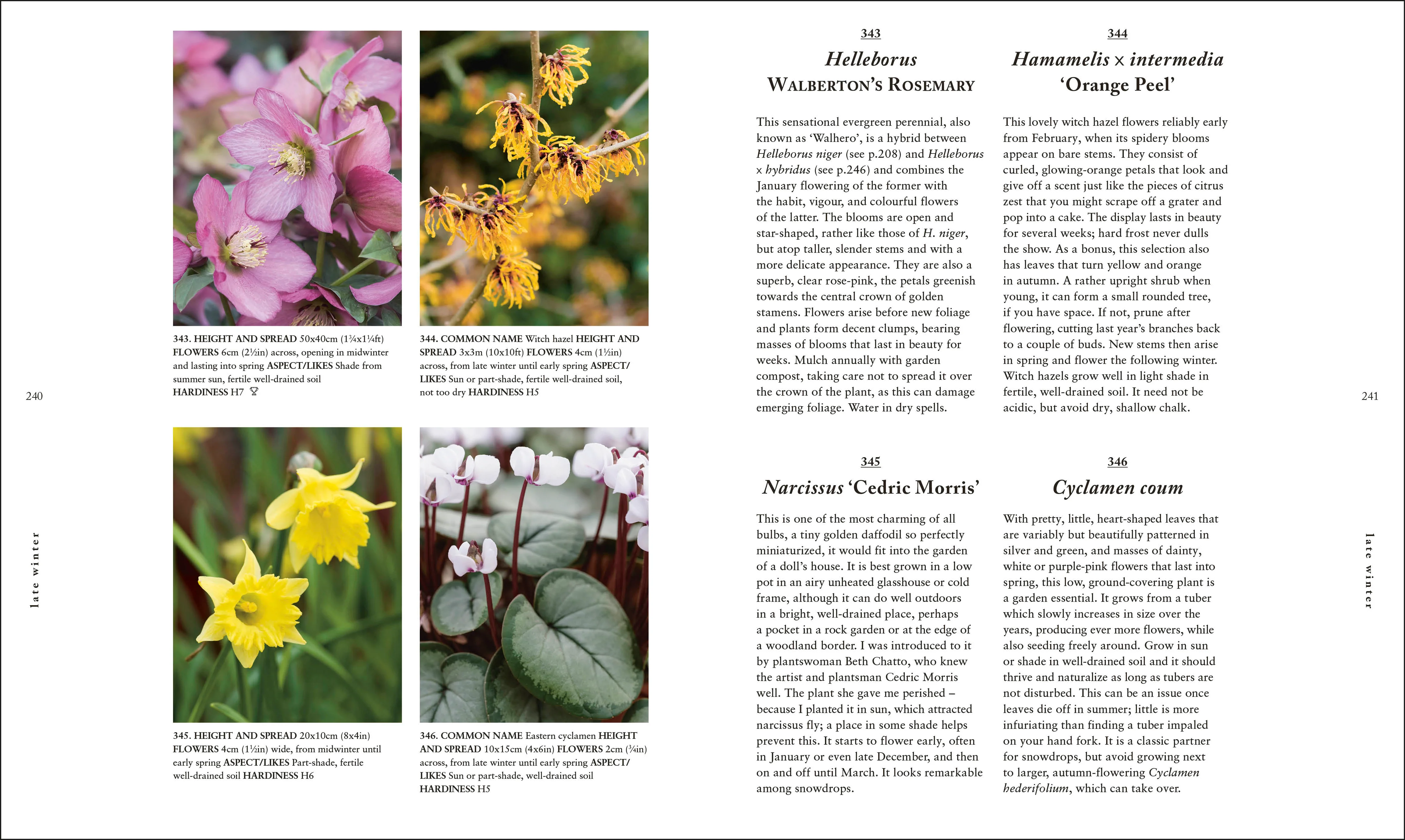 RHS A Plant for Every Day of the Year - Image 8
