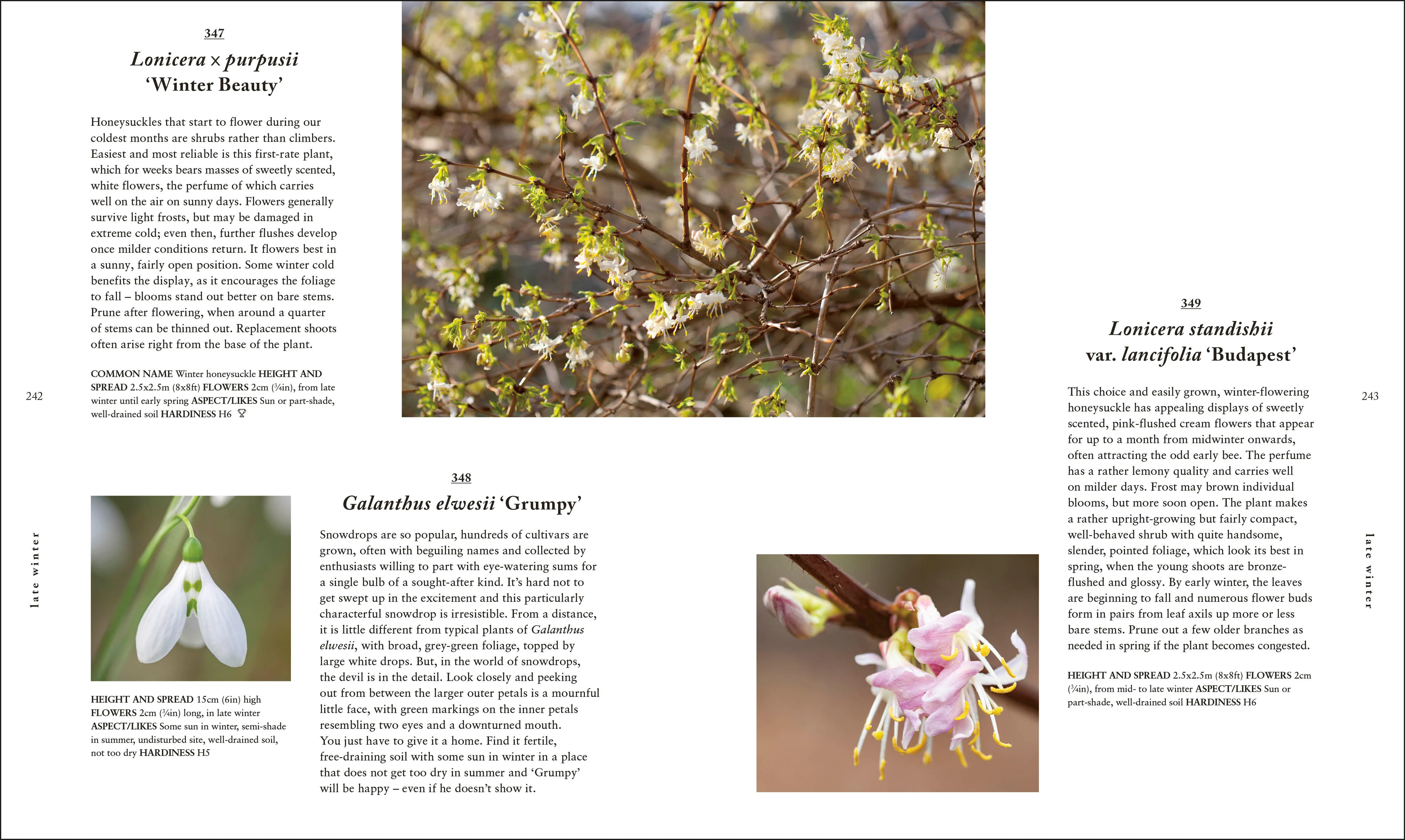 RHS A Plant for Every Day of the Year - Image 9