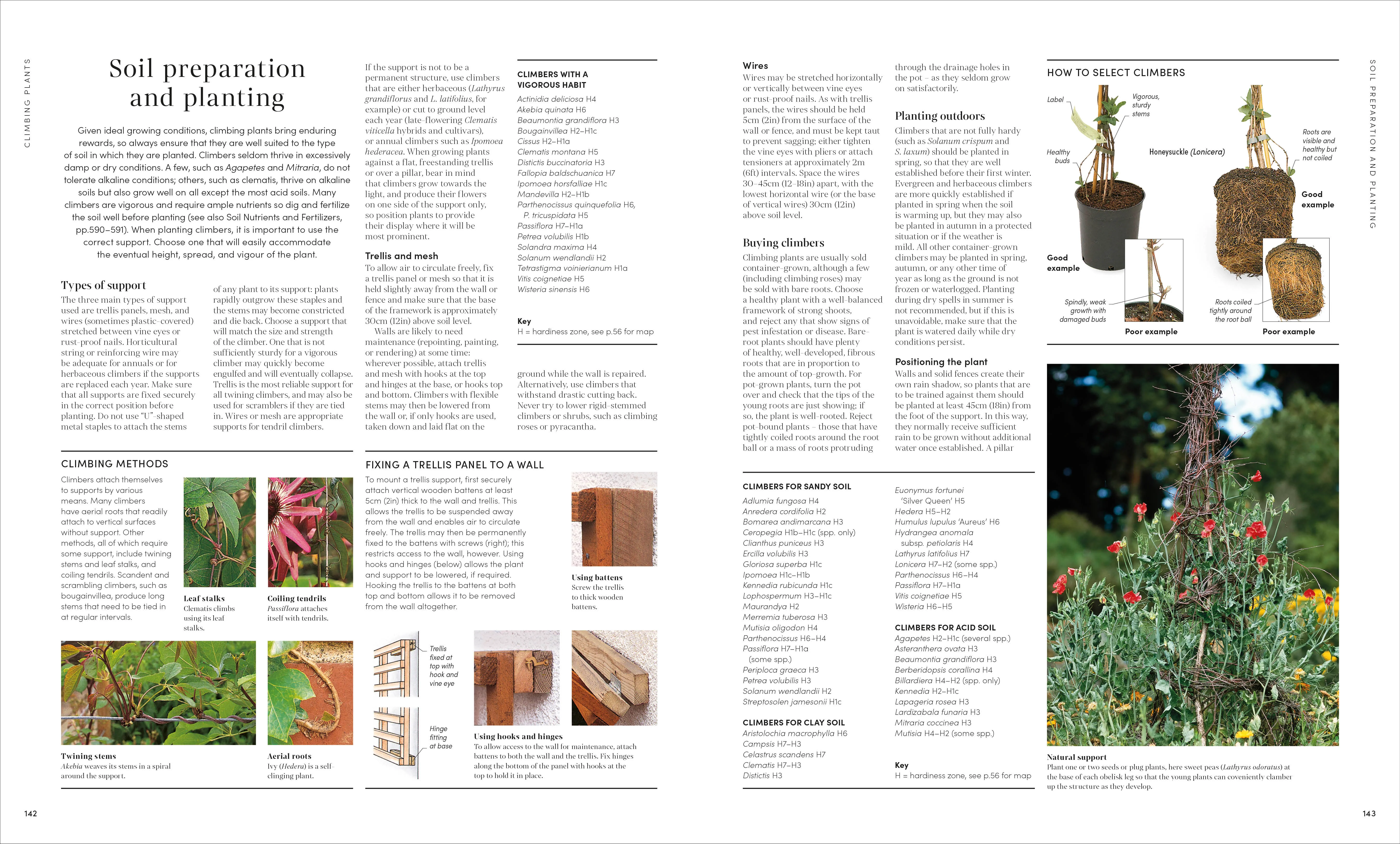RHS Encyclopedia of Gardening New Edition - Image 4